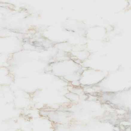 STONEMARK Calacatta Cinela 4 in. x 4 ...