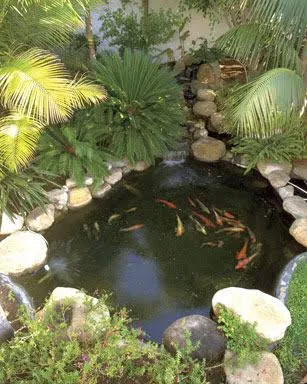 Preformed Pond Kit 60GAL