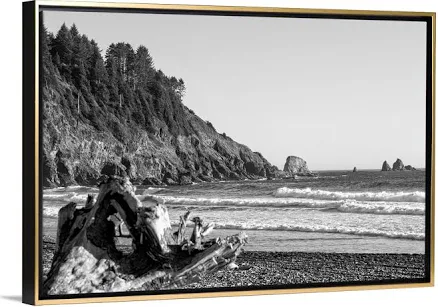 Great BIG Canvas Black and White Land...