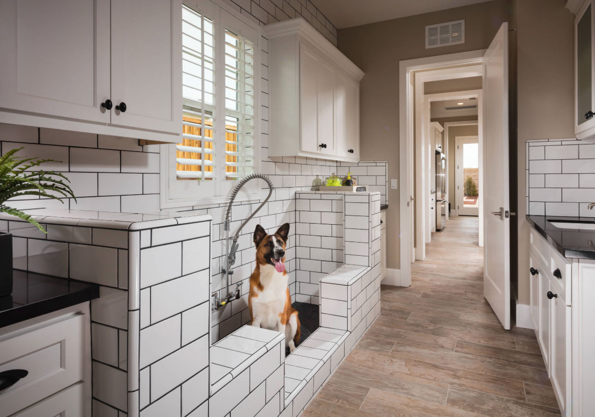 Tile Is The Perfect Backdrop For A Custom Pet Shower – Madison's #1 Source for Tiles – Molony Tile Madison WI