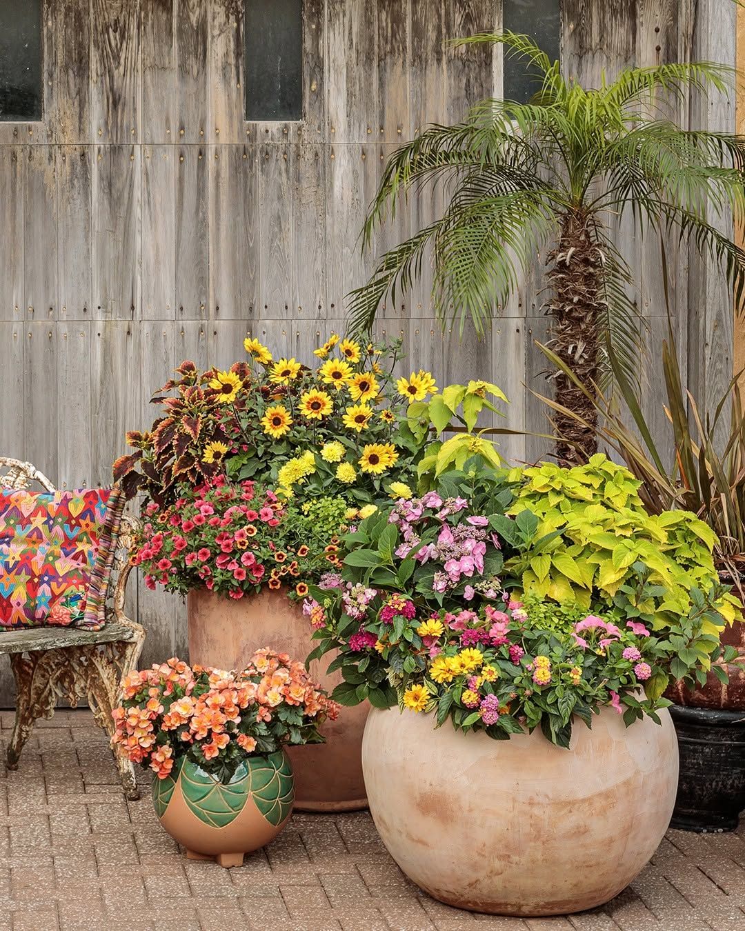 18 Container Garden Ideas for 2026 Where Planters Become the Structure of the Backyard