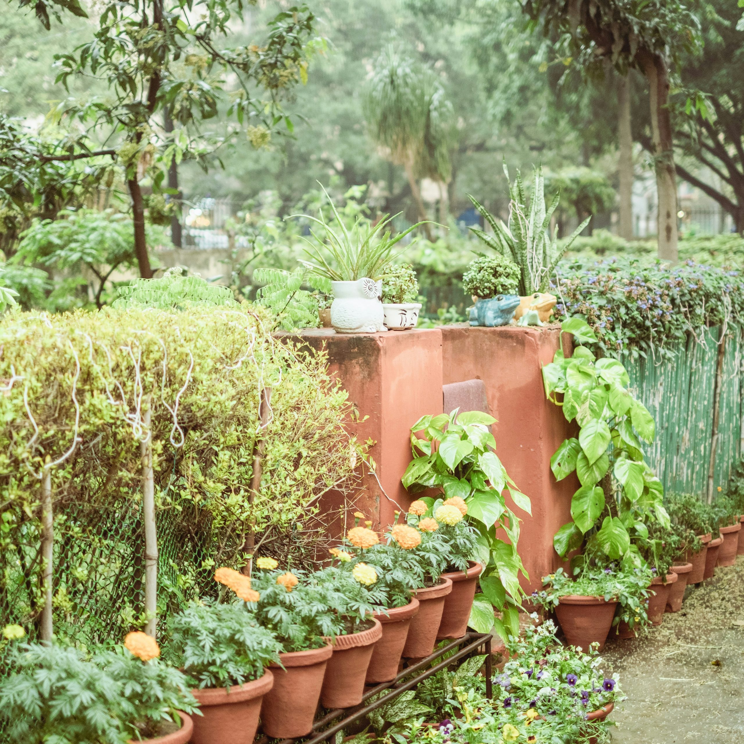 a garden filled with lots of potted plants