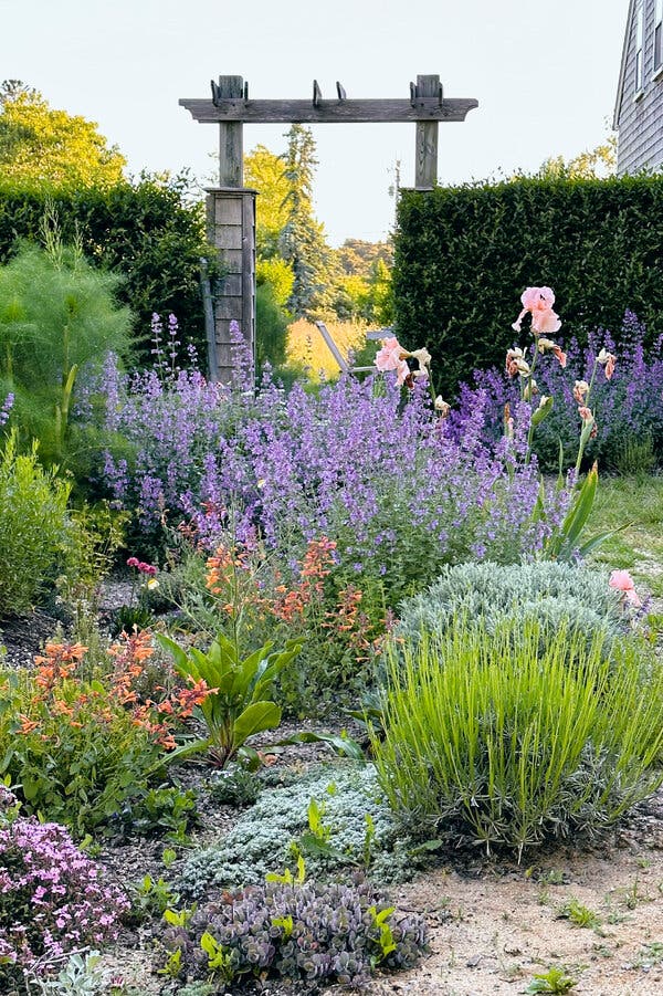 A Guide to Colorful Flower Gardens - The New York Times