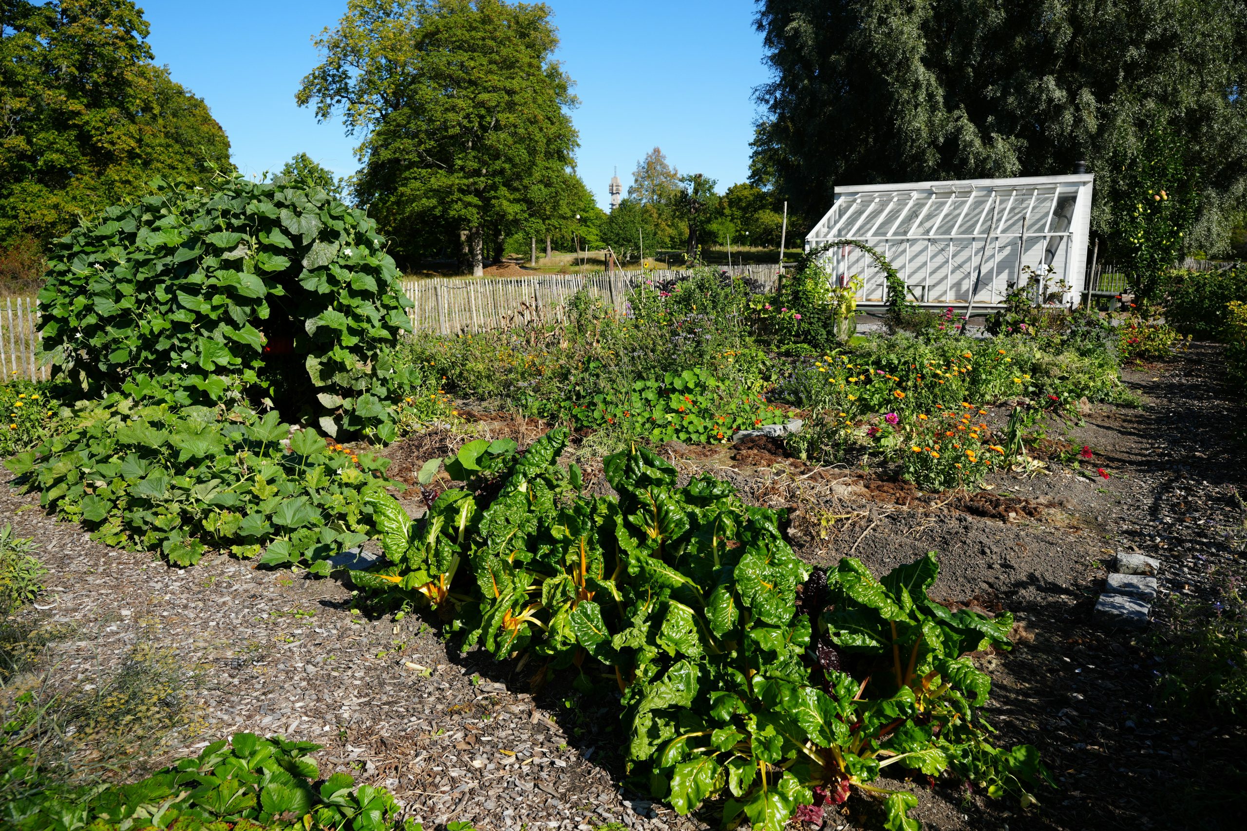 A lush garden with a greenhouse and mature trees.