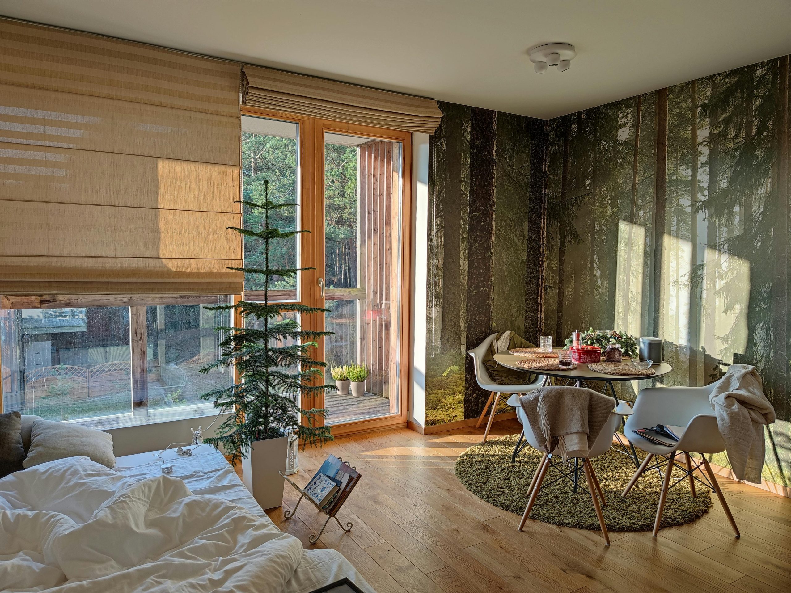 A serene Scandinavian-style room with sunlight and forest wallpaper in Nida, Lithuania.