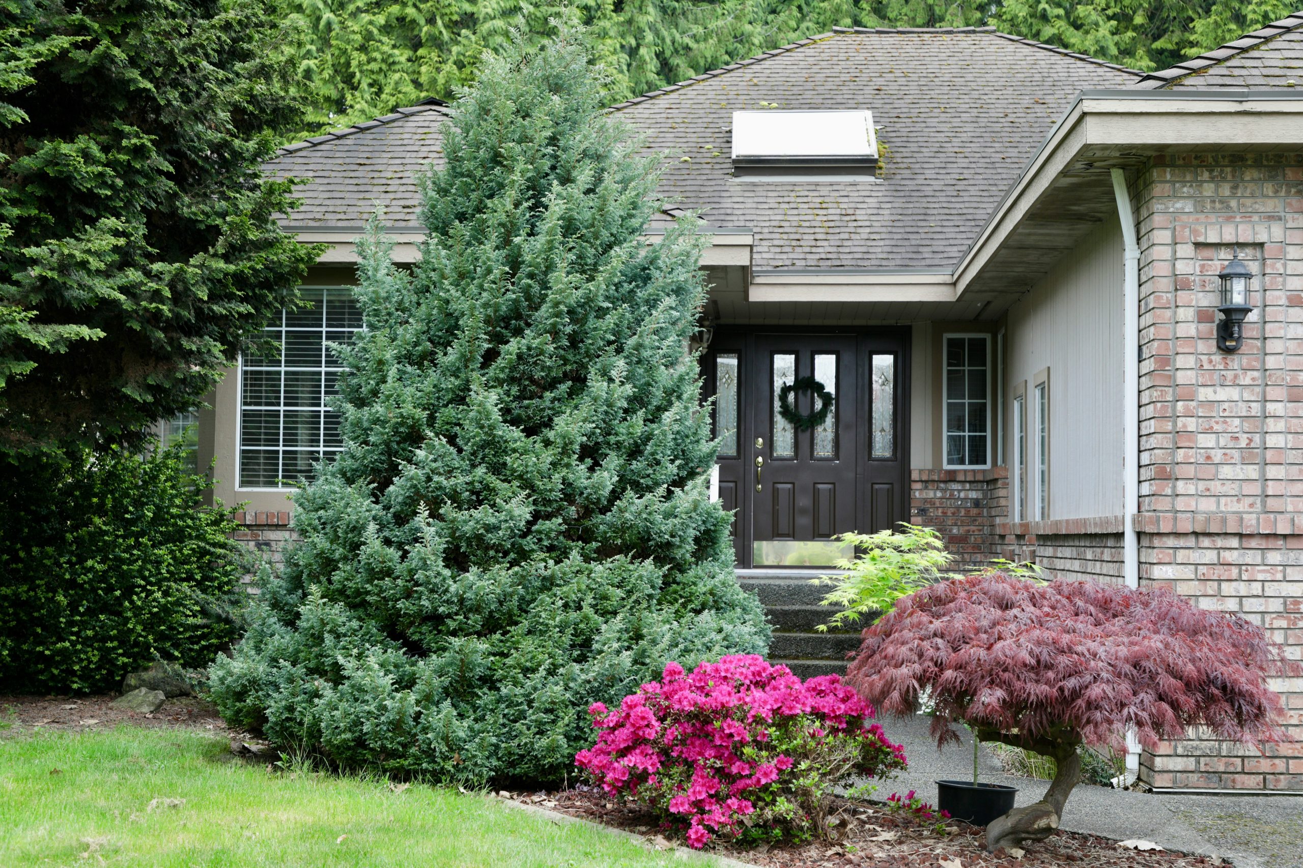 A suburban house with a manicured garden entrance.