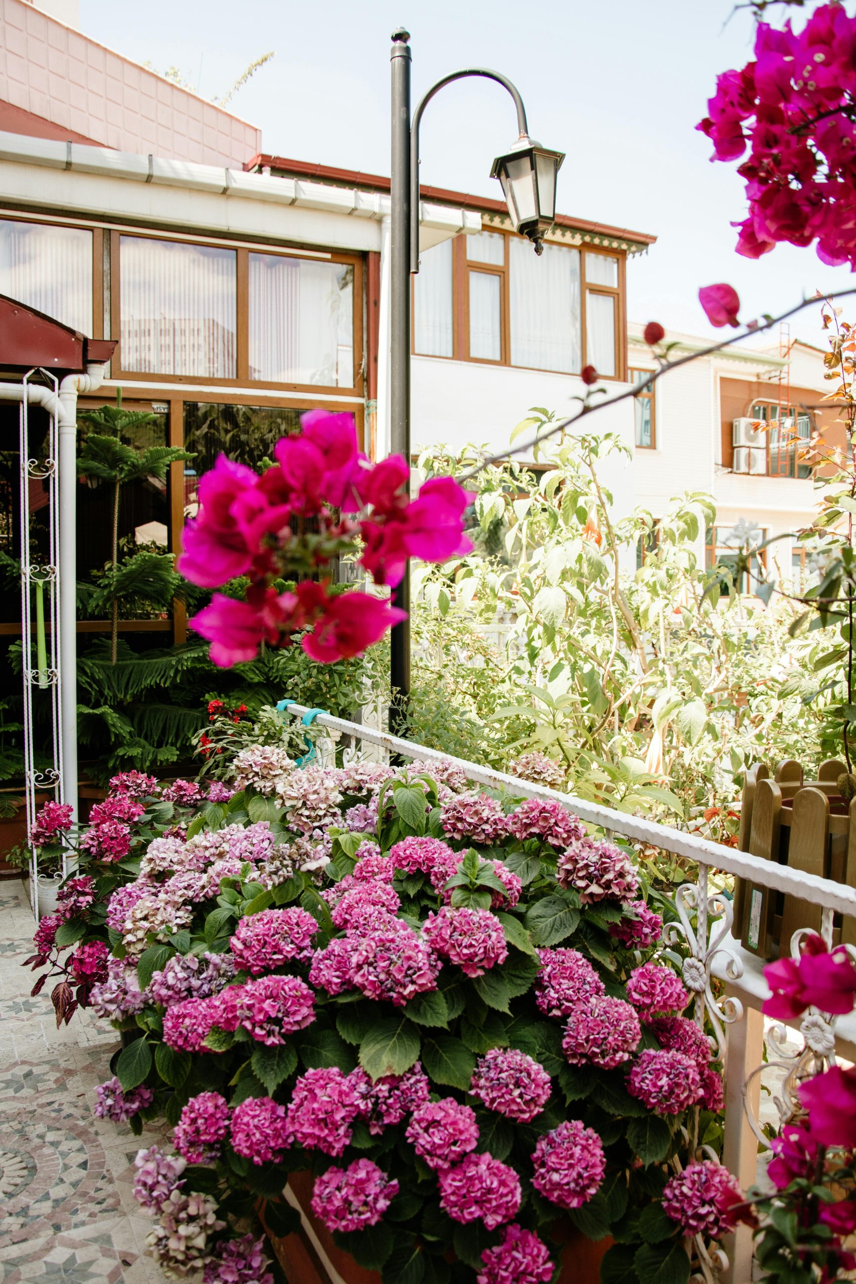 Beautiful balcony adorned with bright pink hydrangeas and bougainvillea.