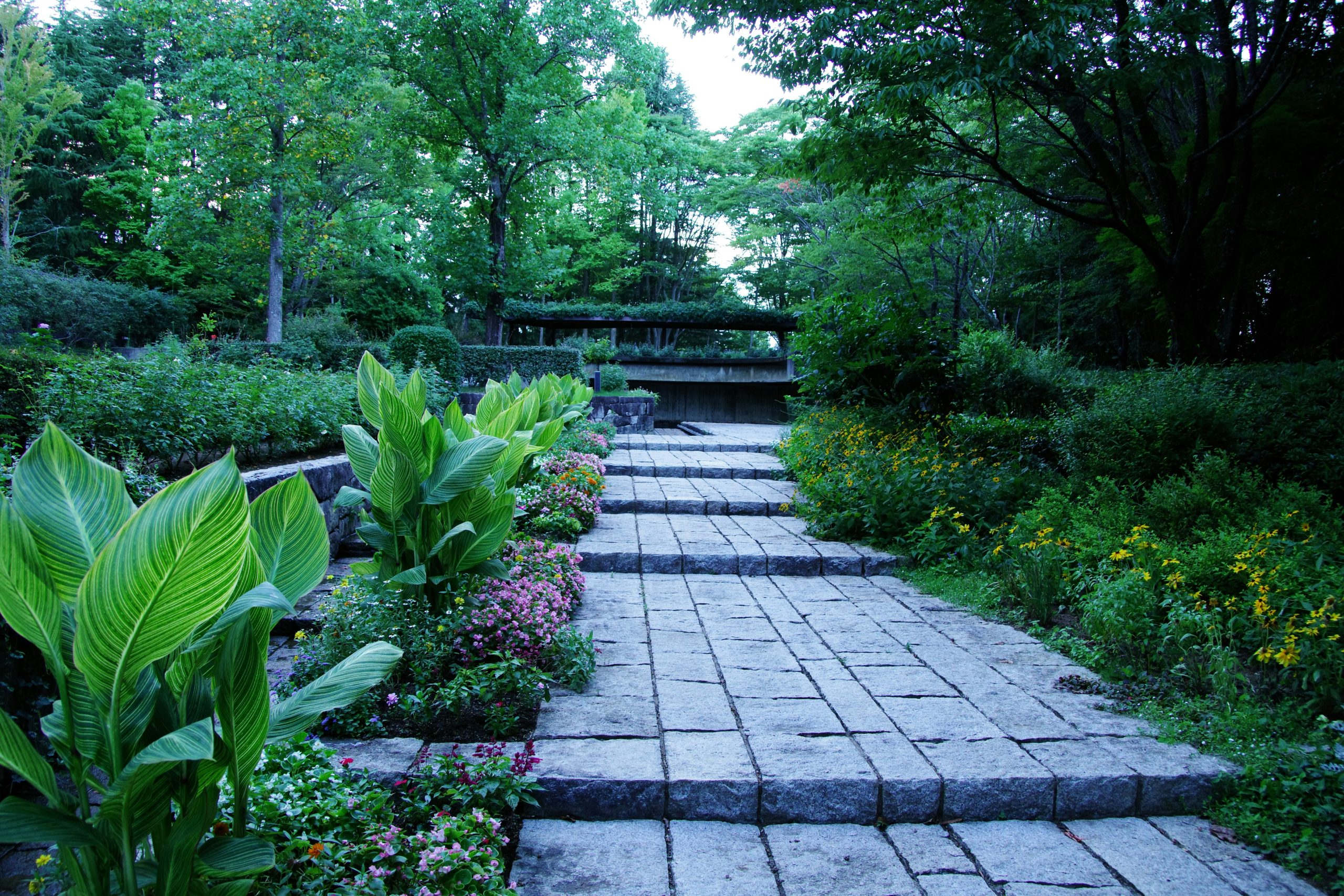 Beautiful green and flower garden、新緑と美しい花が織りなす絶景 A superb view of fresh greenery and beautiful flowers