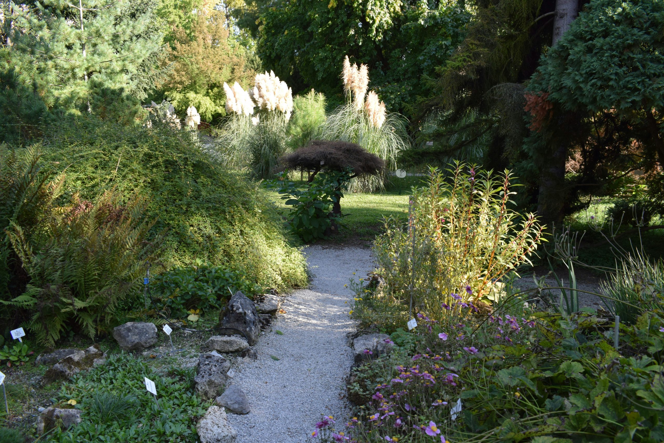 Botanical garden in Zagreb.
