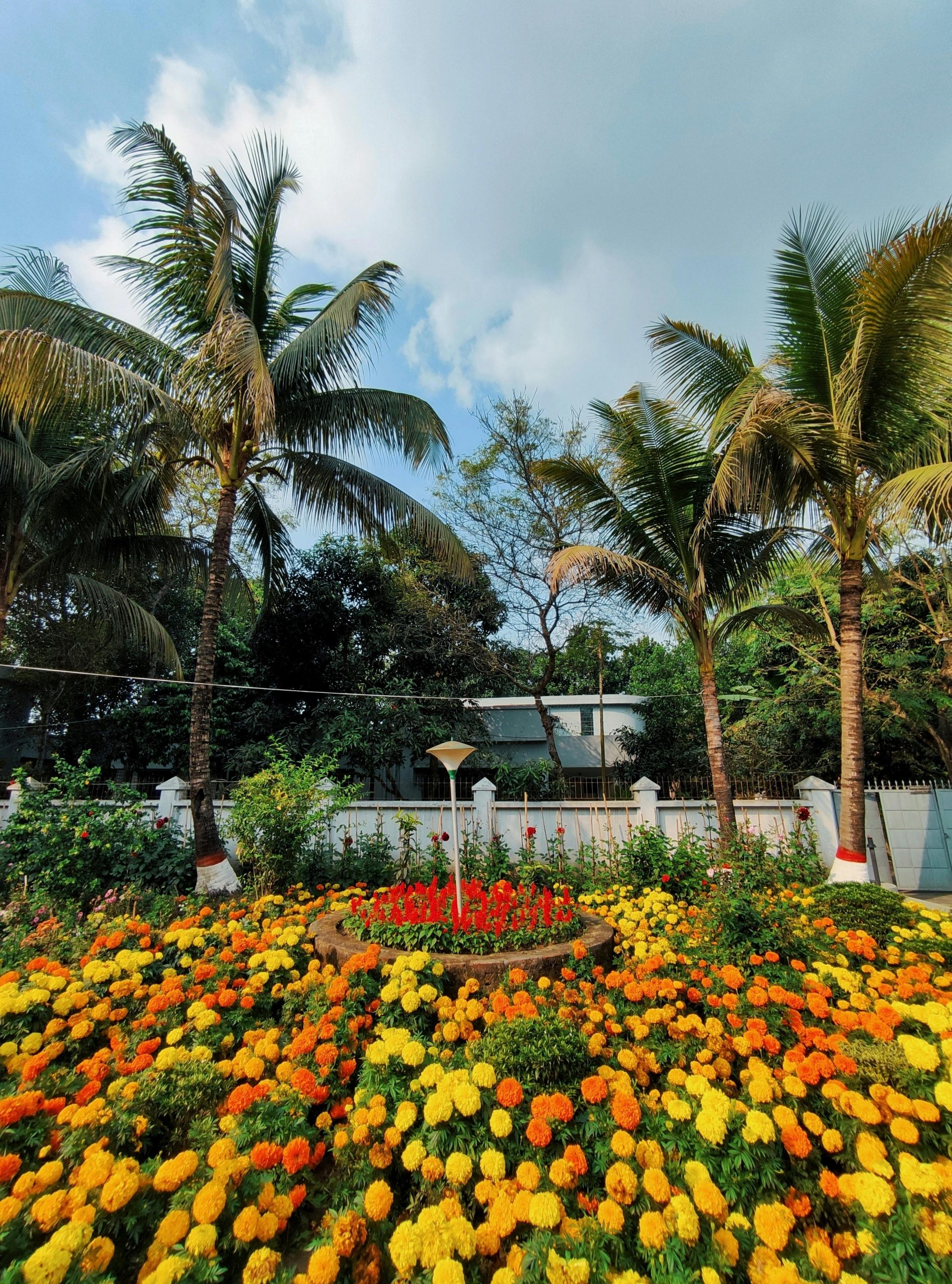 Colorful garden with marigold flowers and palm trees under a blue sky.