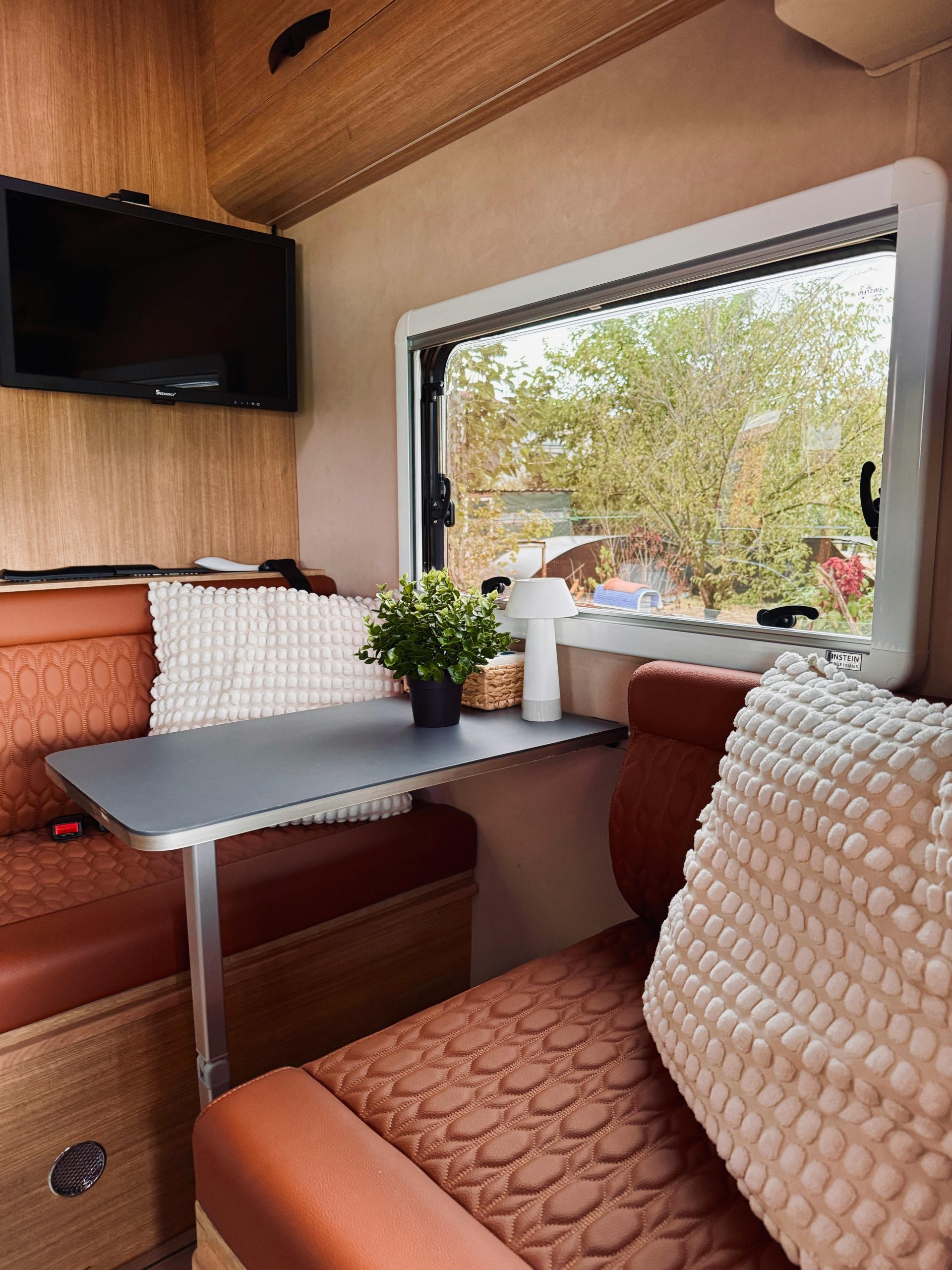 Comfortable RV seating area with window view, plants, and TV.