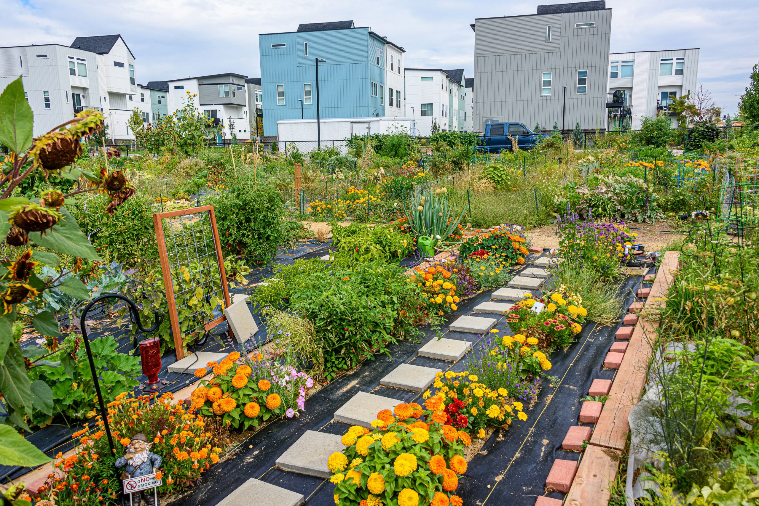 Community gardens are common in this Denver, Colorado neighborhood.