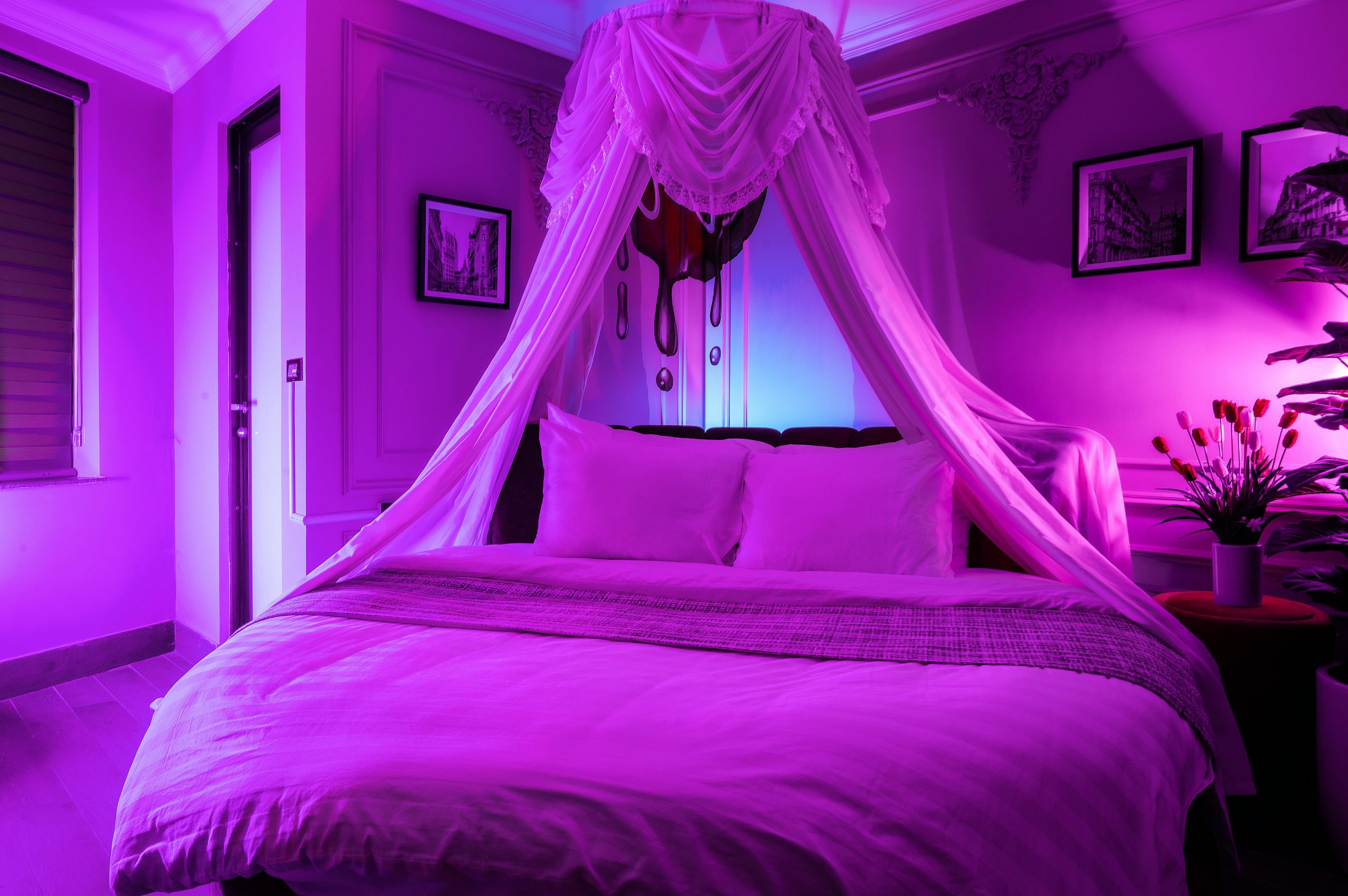 Elegant bedroom with canopy bed and vibrant purple lighting creating a cozy atmosphere.