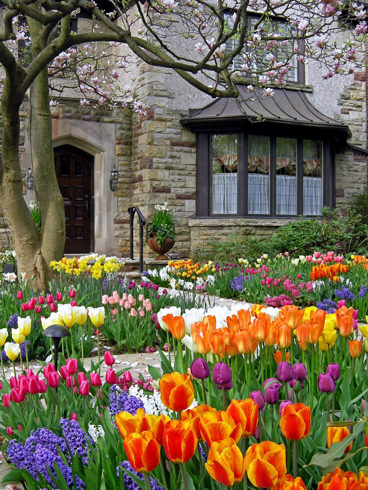 Front Yard Landscape Ideas: Boost Your Home's Value - Town & Country Living