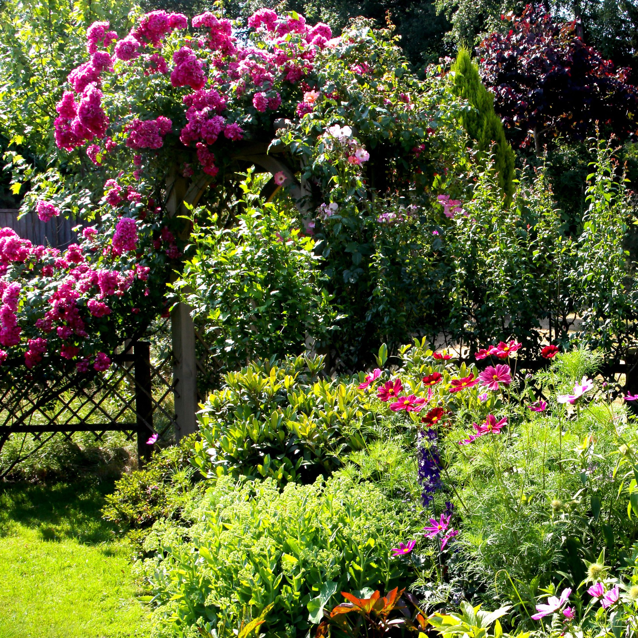 How To Plant A Cottage Garden | Gardening Know How