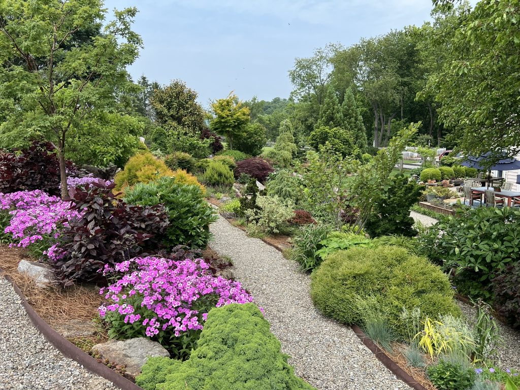 Invitation to a Garden Party Tour — June 20 & 27, 2026 - County Lines Online