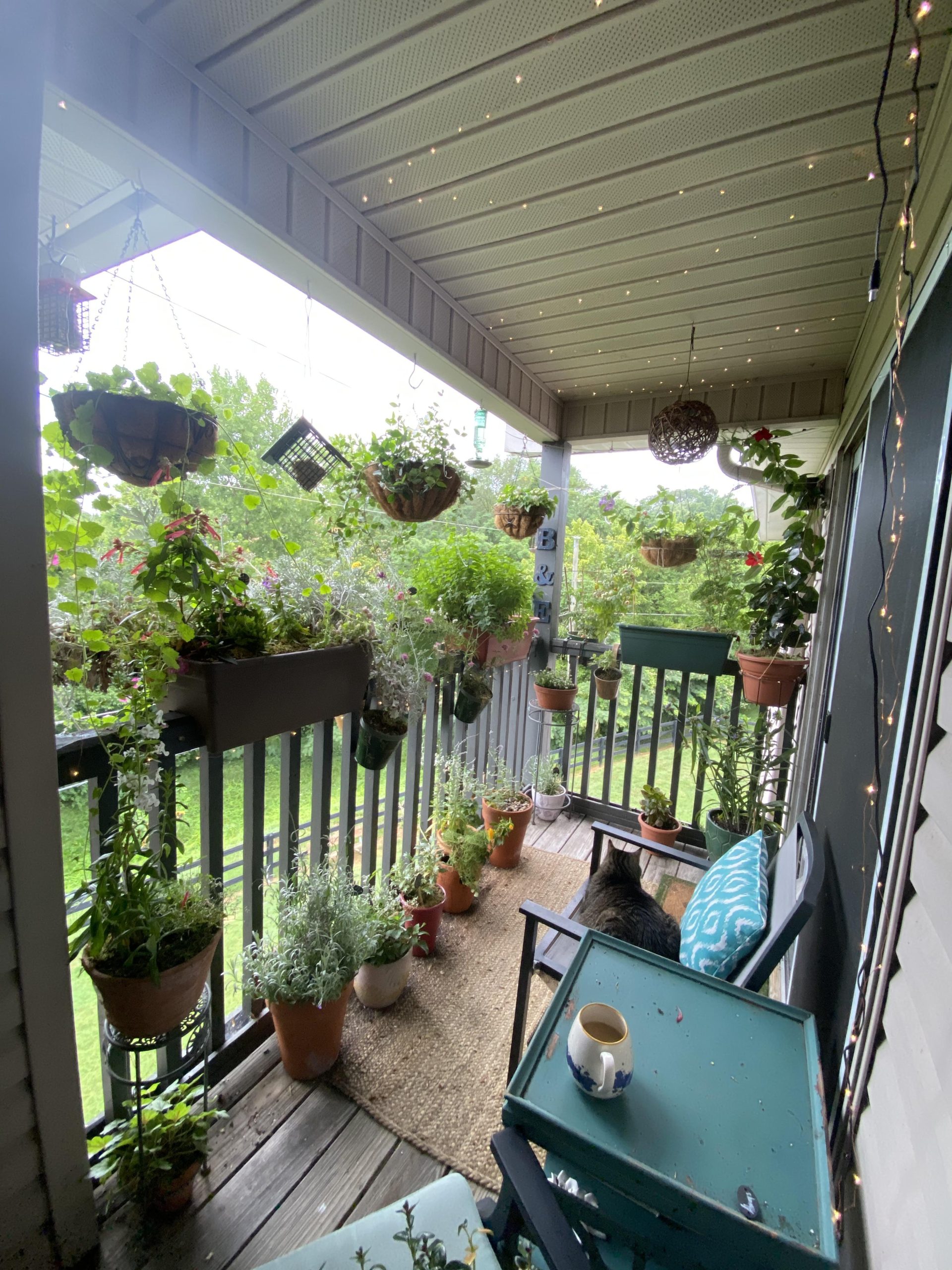 It's not as nice as some on here, but I love my balcony garden. : r/ gardening