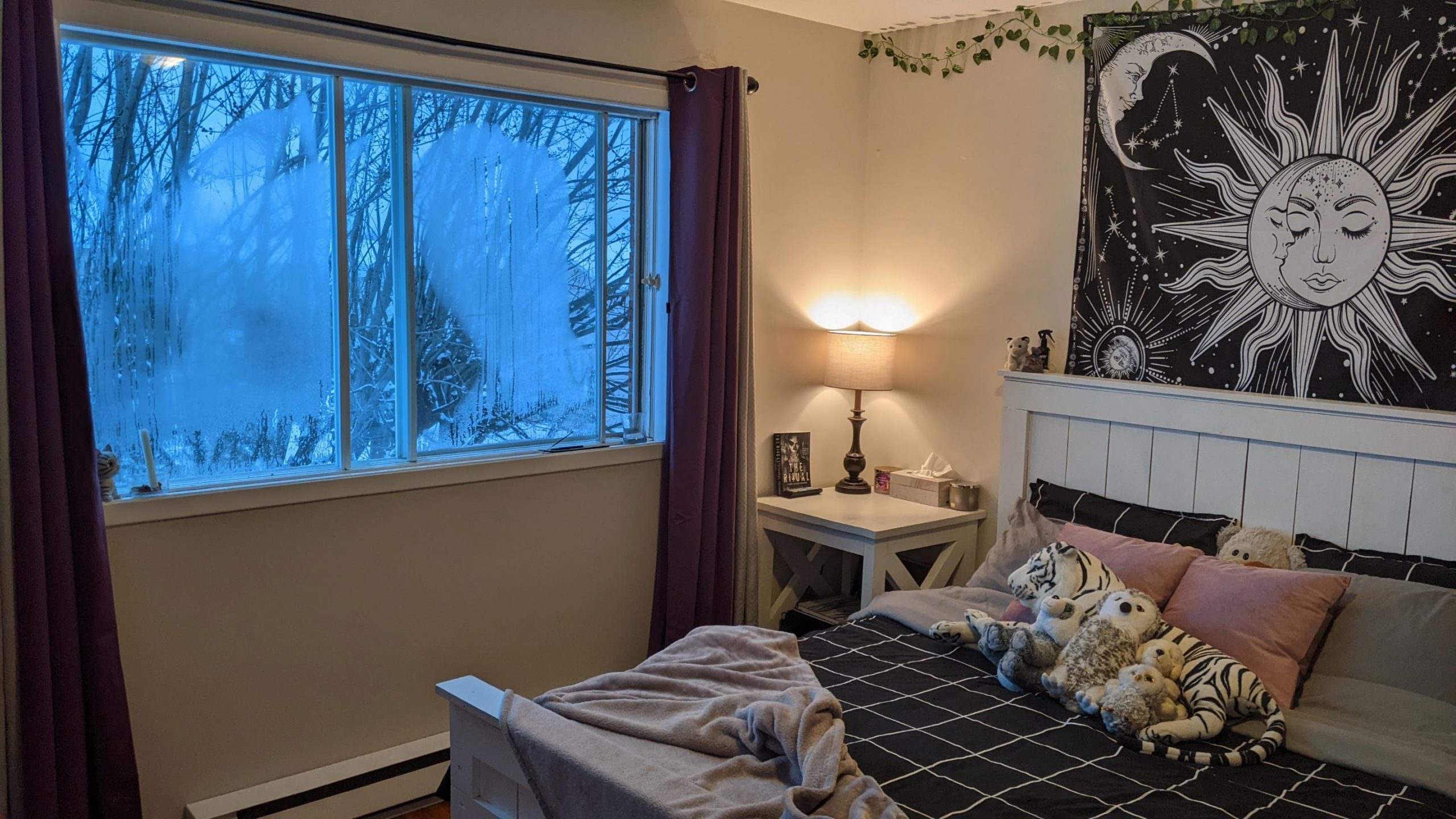 Just did a witchy bedroom makeover!!! It's so cozy and magical now, wanted to share with this beautiful community! 💜🐈⬛🔮 : r/WitchesVsPatriarchy