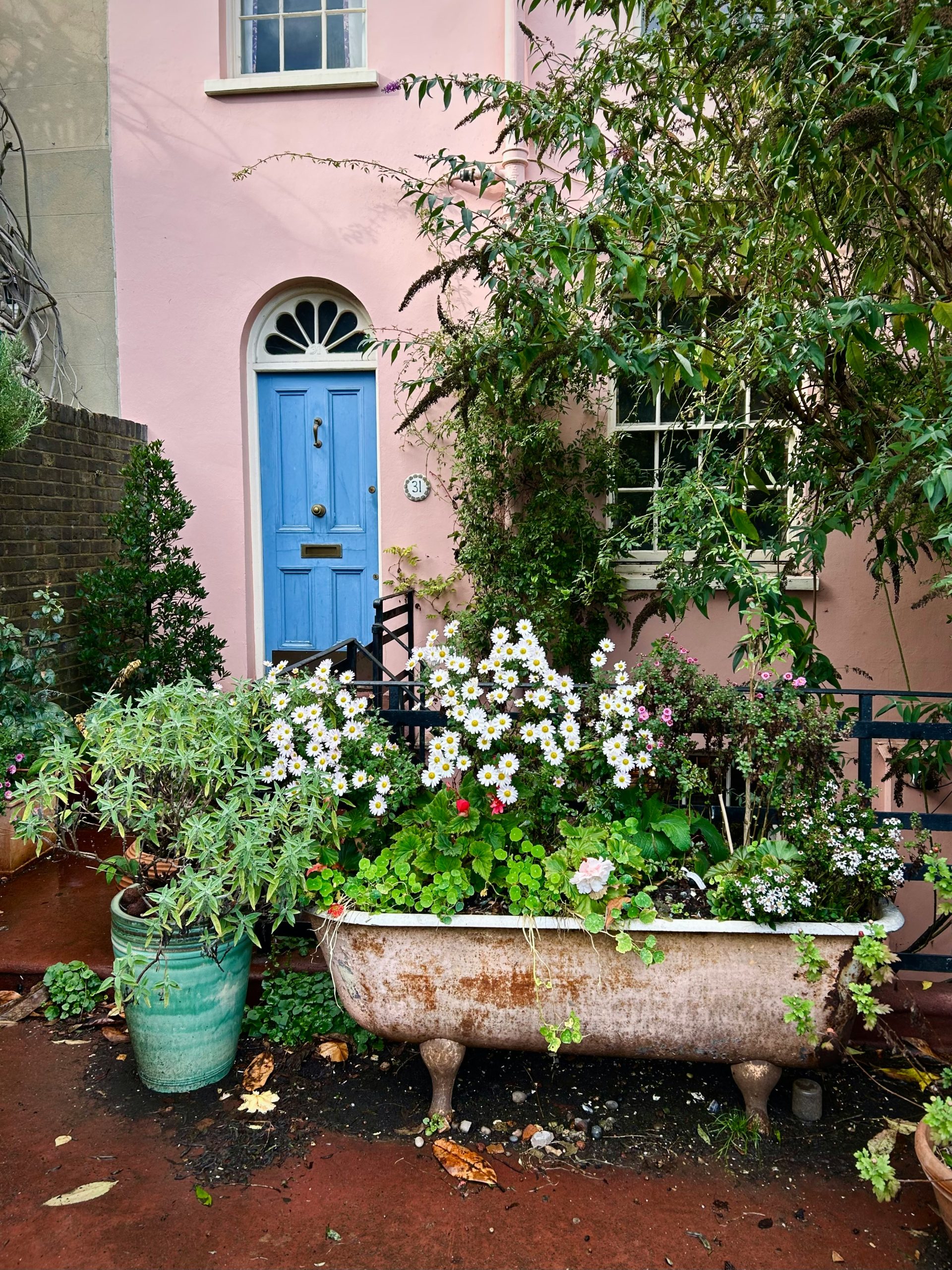 nature, garden