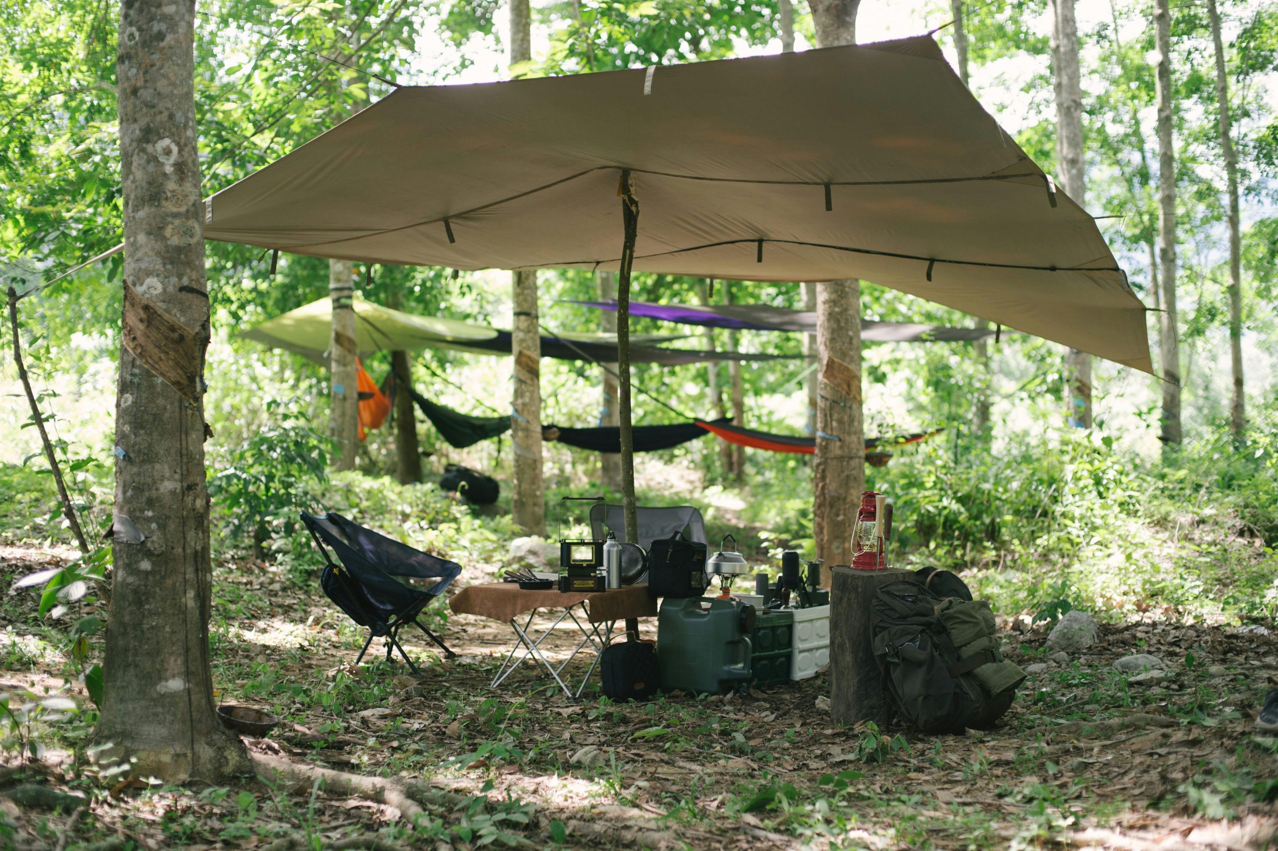 Outdoor camping setup with equipment and hammocks under tree canopy in the forest.