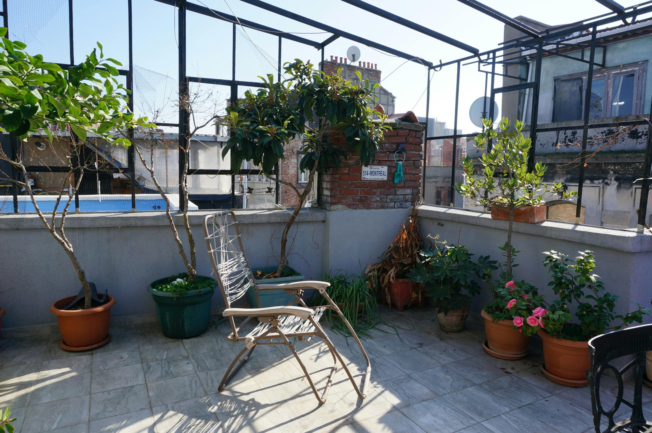 Rooftop terrace featuring potted plants, a chair, and a view of urban architecture.