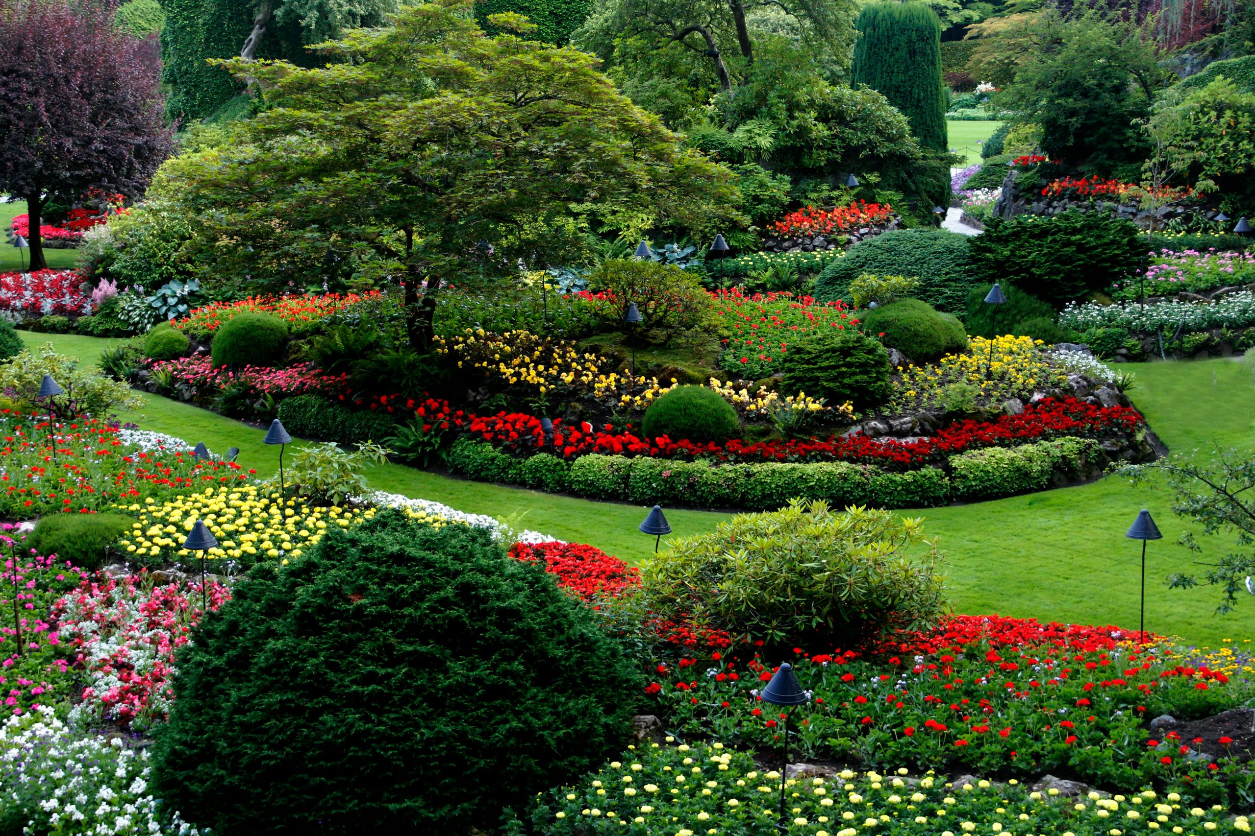 This was the view of Bushart Gardens in Victoria, BC, Canada in July from a hill.