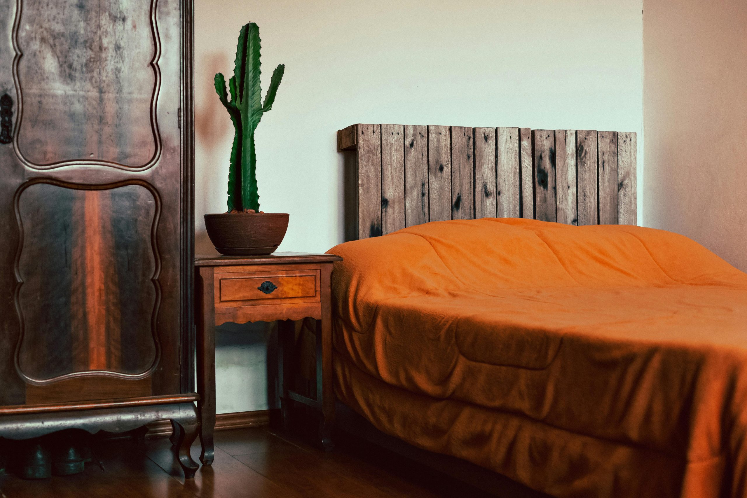Warm-toned bedroom featuring a cactus on a bedside table, with rustic furniture and orange bedding.