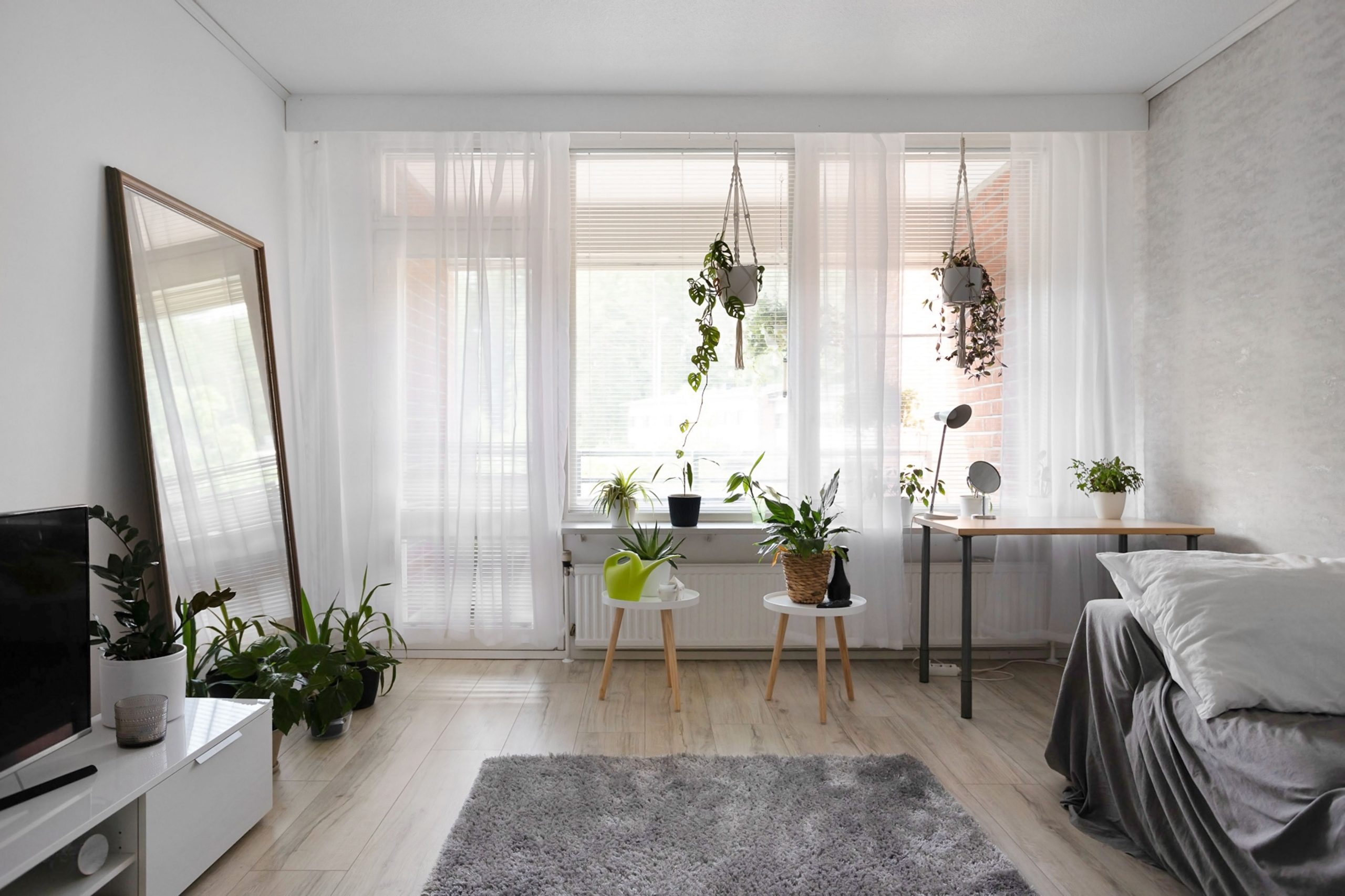 A bright, minimalist apartment interior featuring stylish decor and lush houseplants.