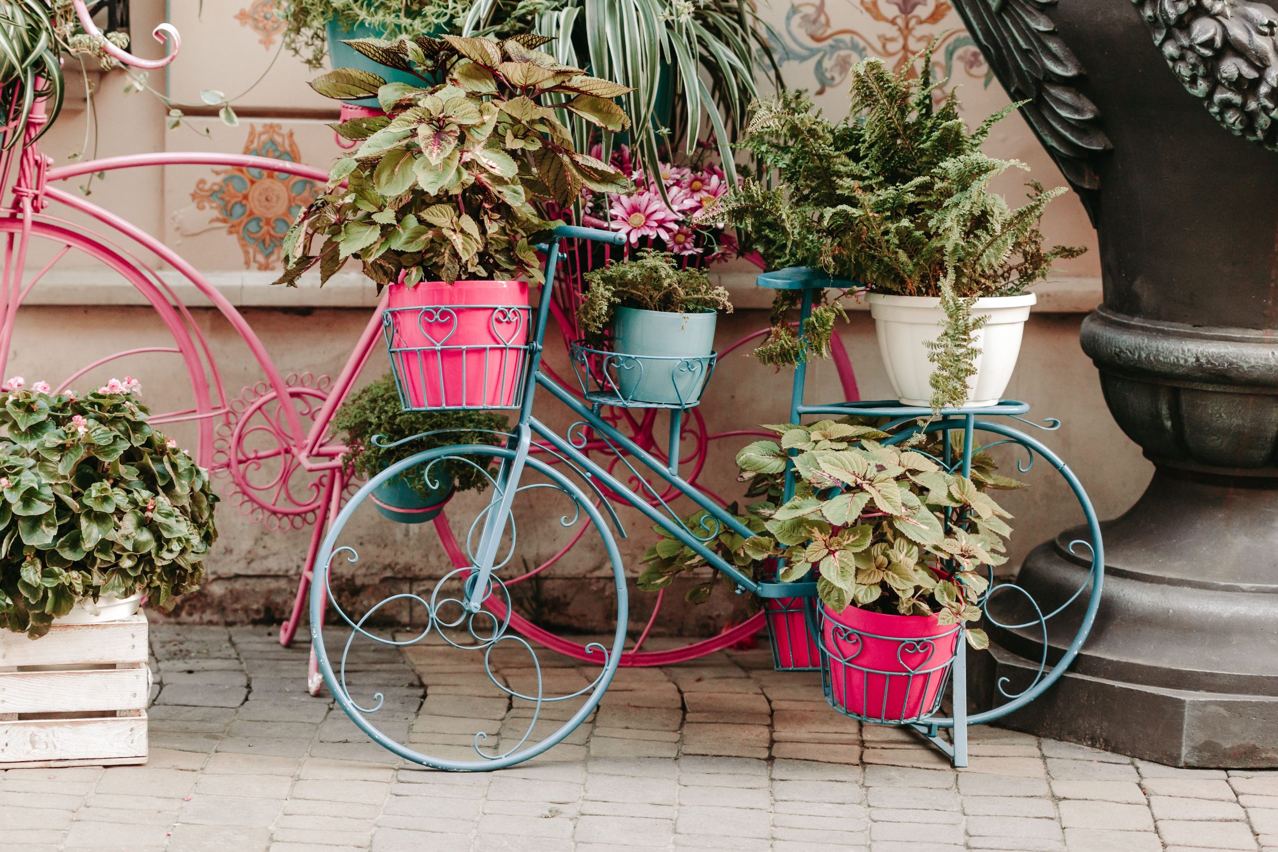 A colorful display of potted plants arranged on a decorative bicycle stand outdoors.