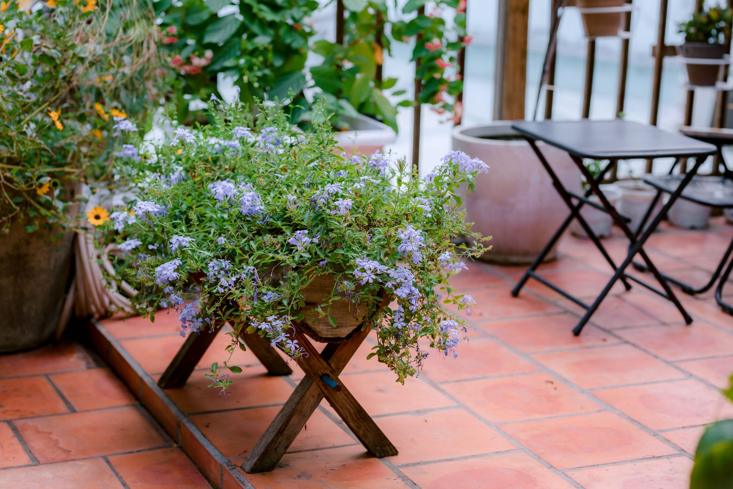 A cozy outdoor patio with lavender flowers on a wooden stand, perfect for relaxation.