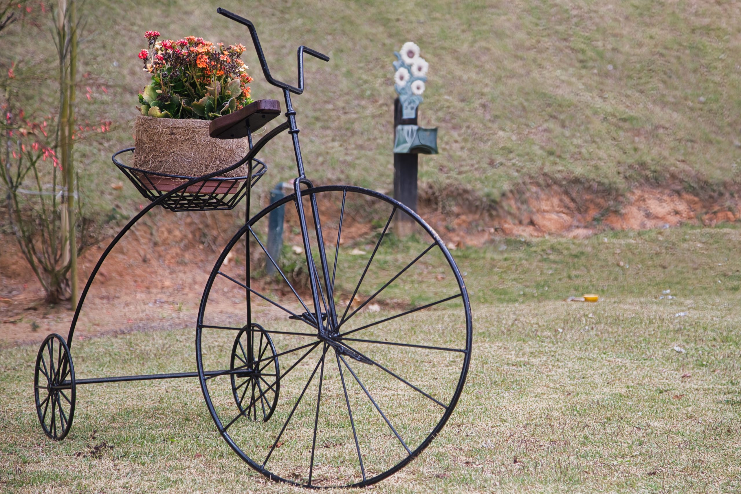 A unique vintage-style bicycle plant stand holding vibrant flowers in an outdoor garden.