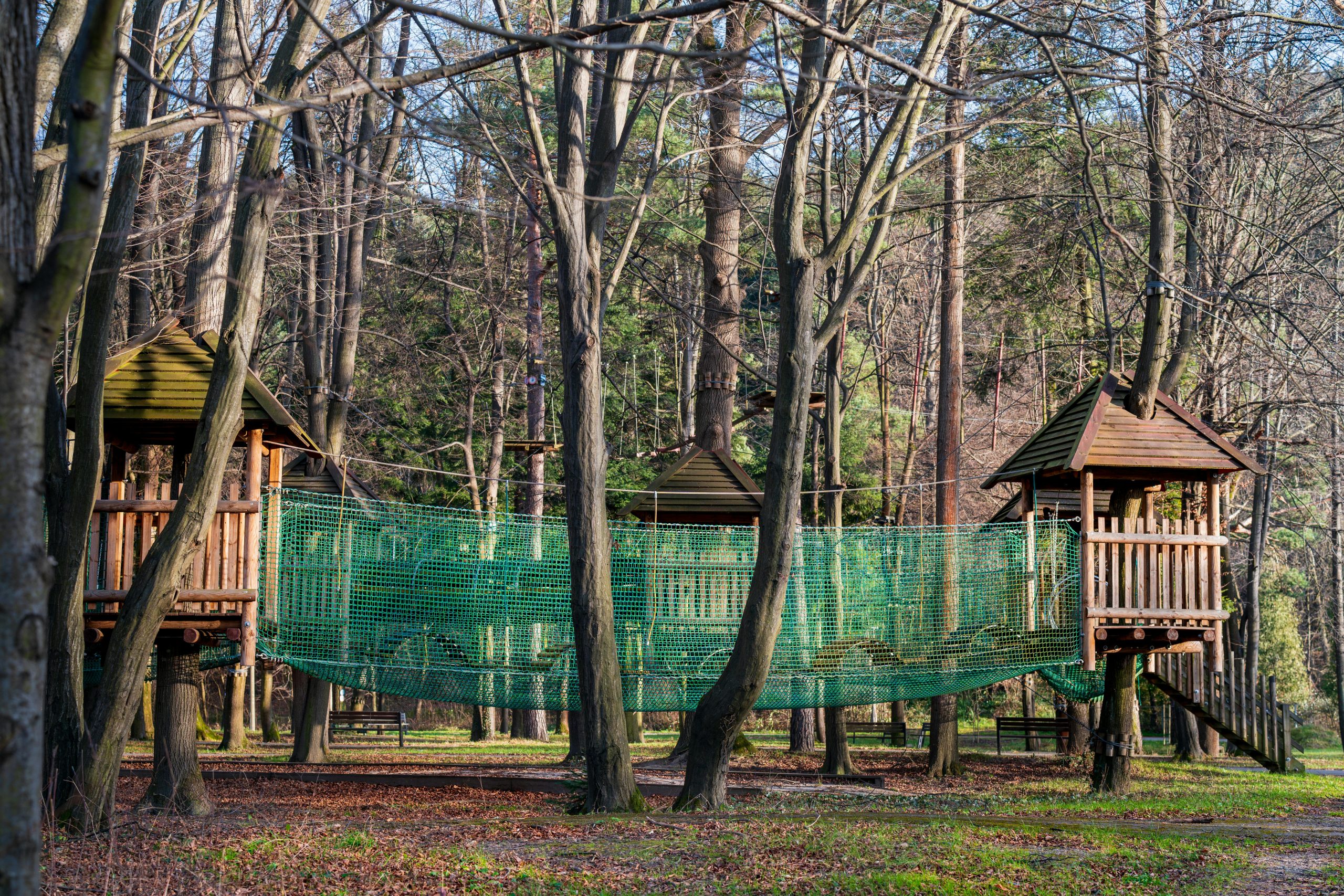 Charming wooden treehouses connected by a net bridge in a serene forest setting.