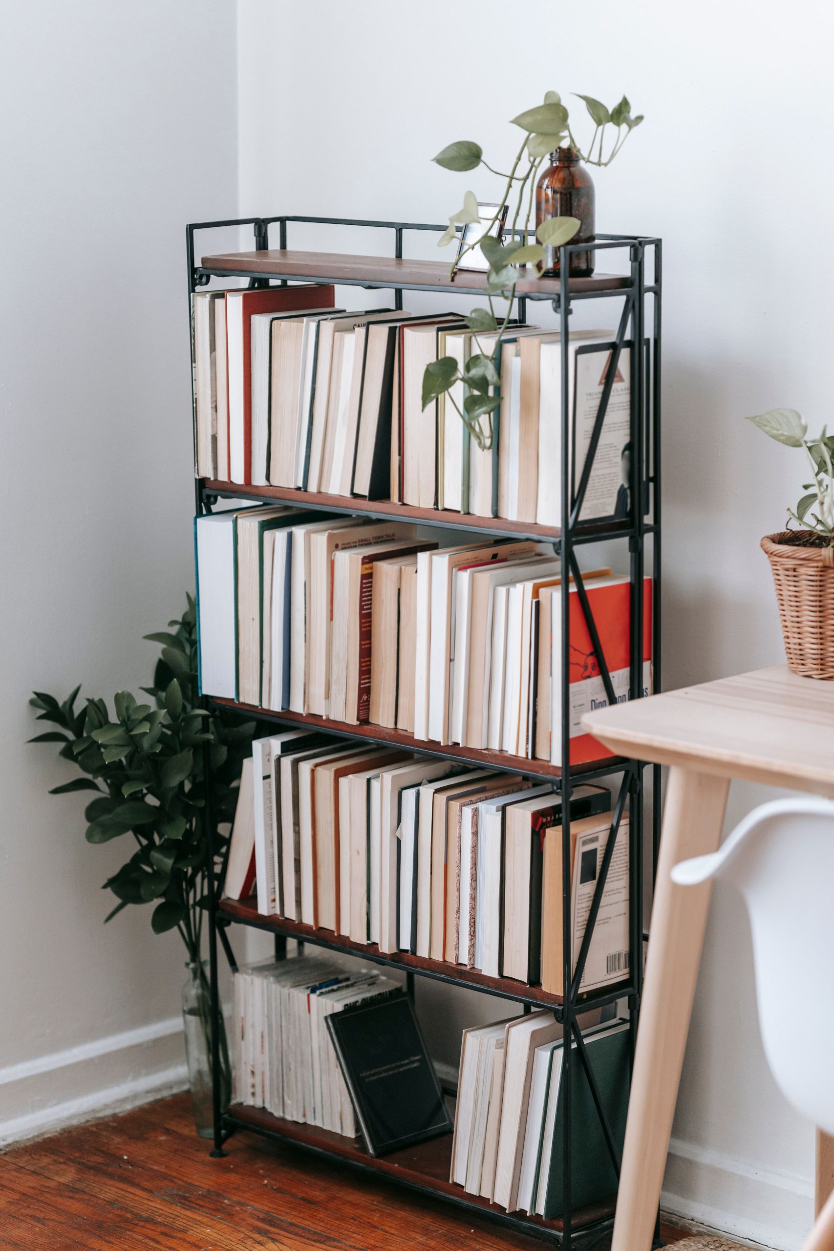 Collection of various books on shelves of bookcase placed near table and chair in light room decorated with green plants