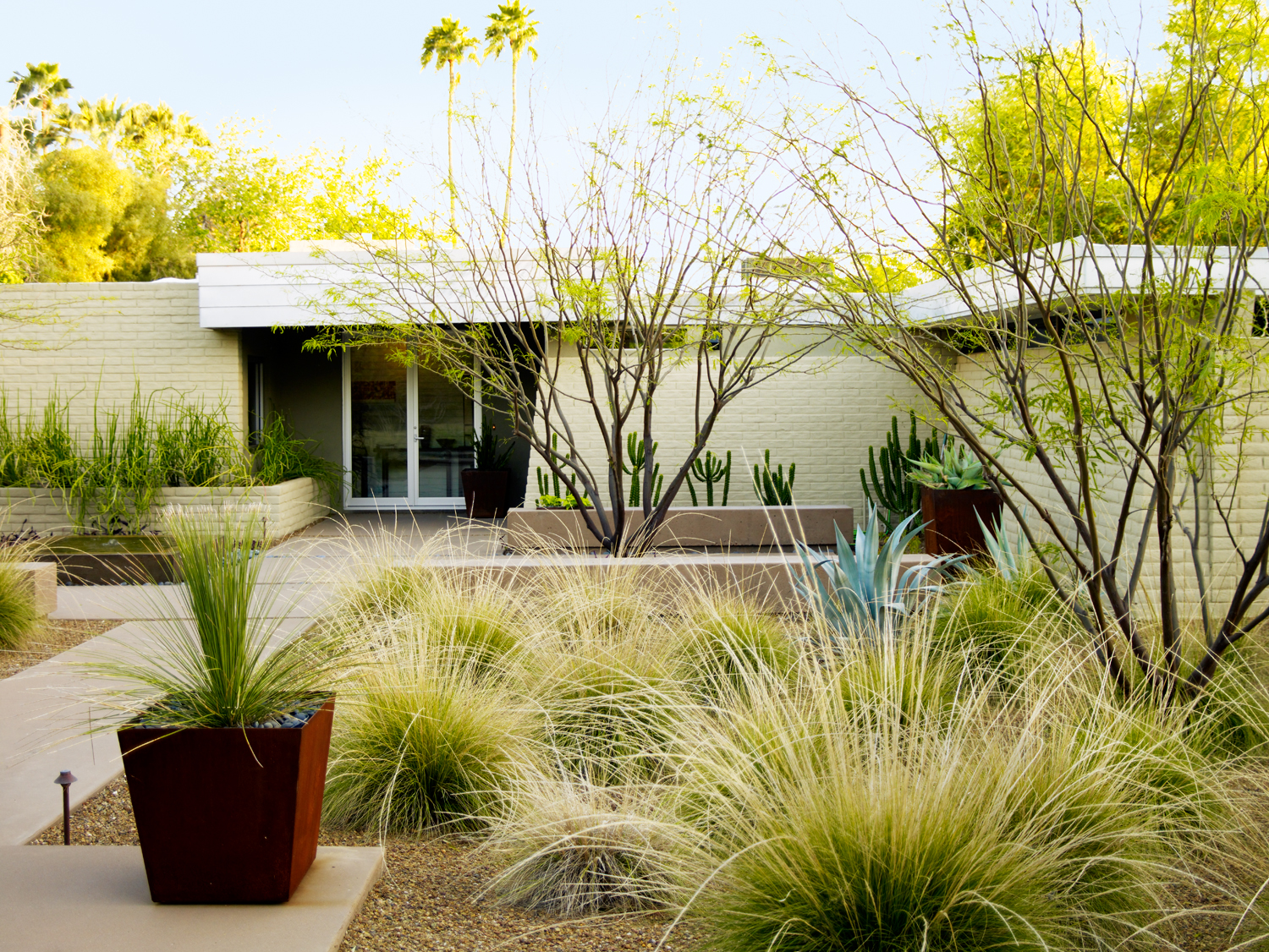 Desert Landscaping Ideas from a Phoenix Front Yard – Sunset Magazine