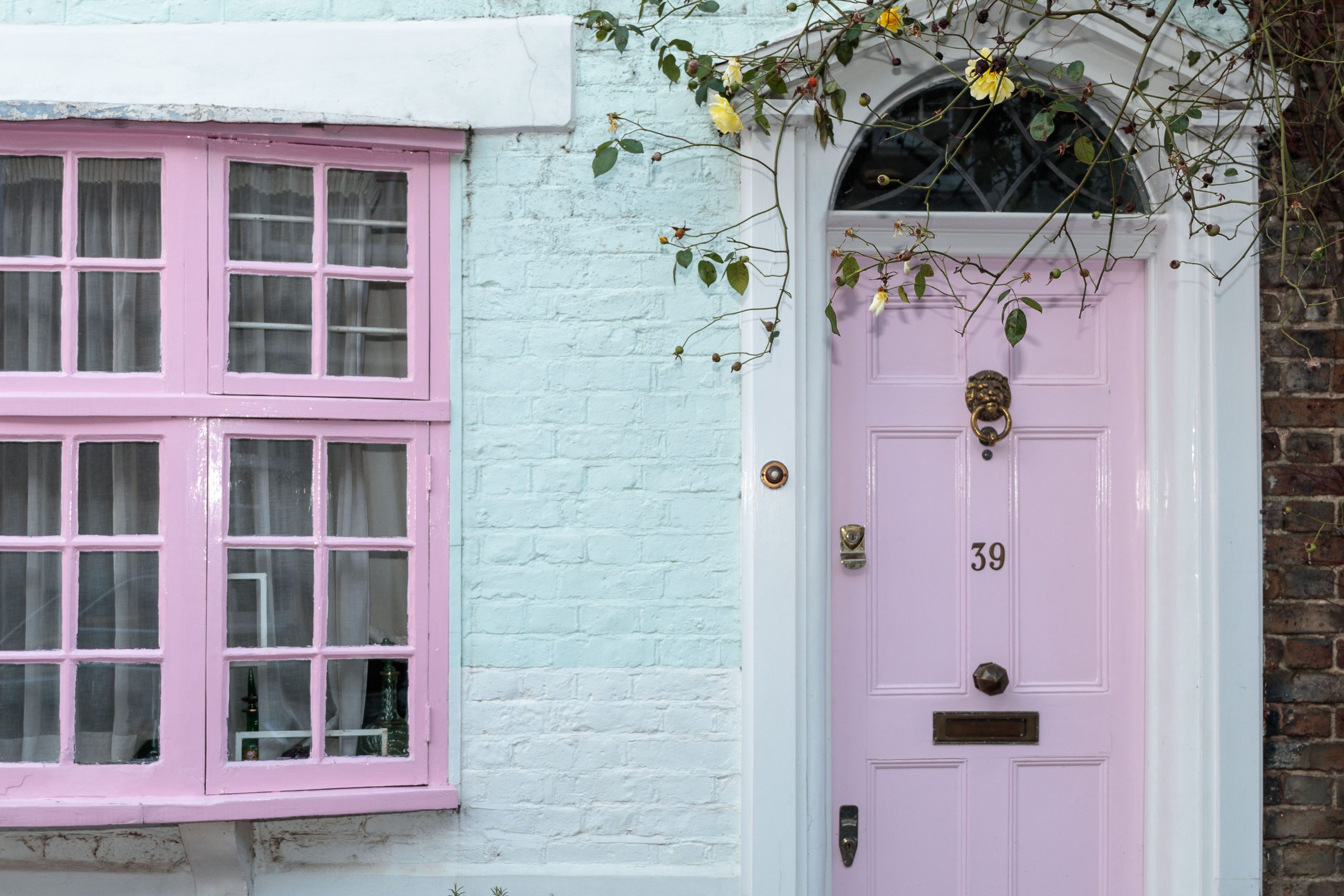 Detailed view of a pastel pink door with a lion door knocker in a residential setting.