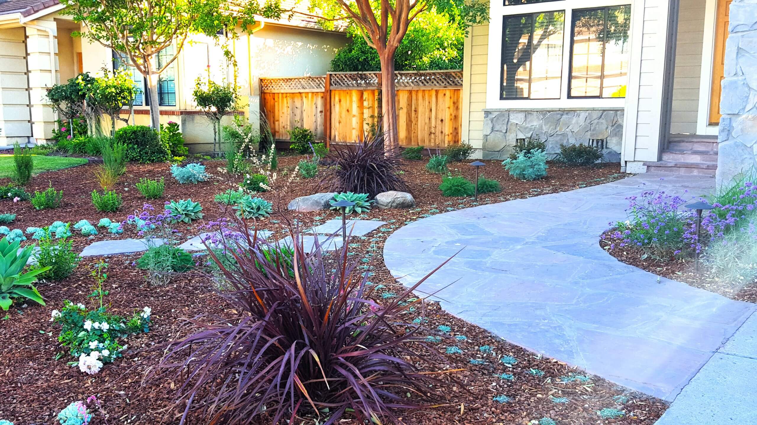 Embrace Drought-Tolerant Plantings | Elemental