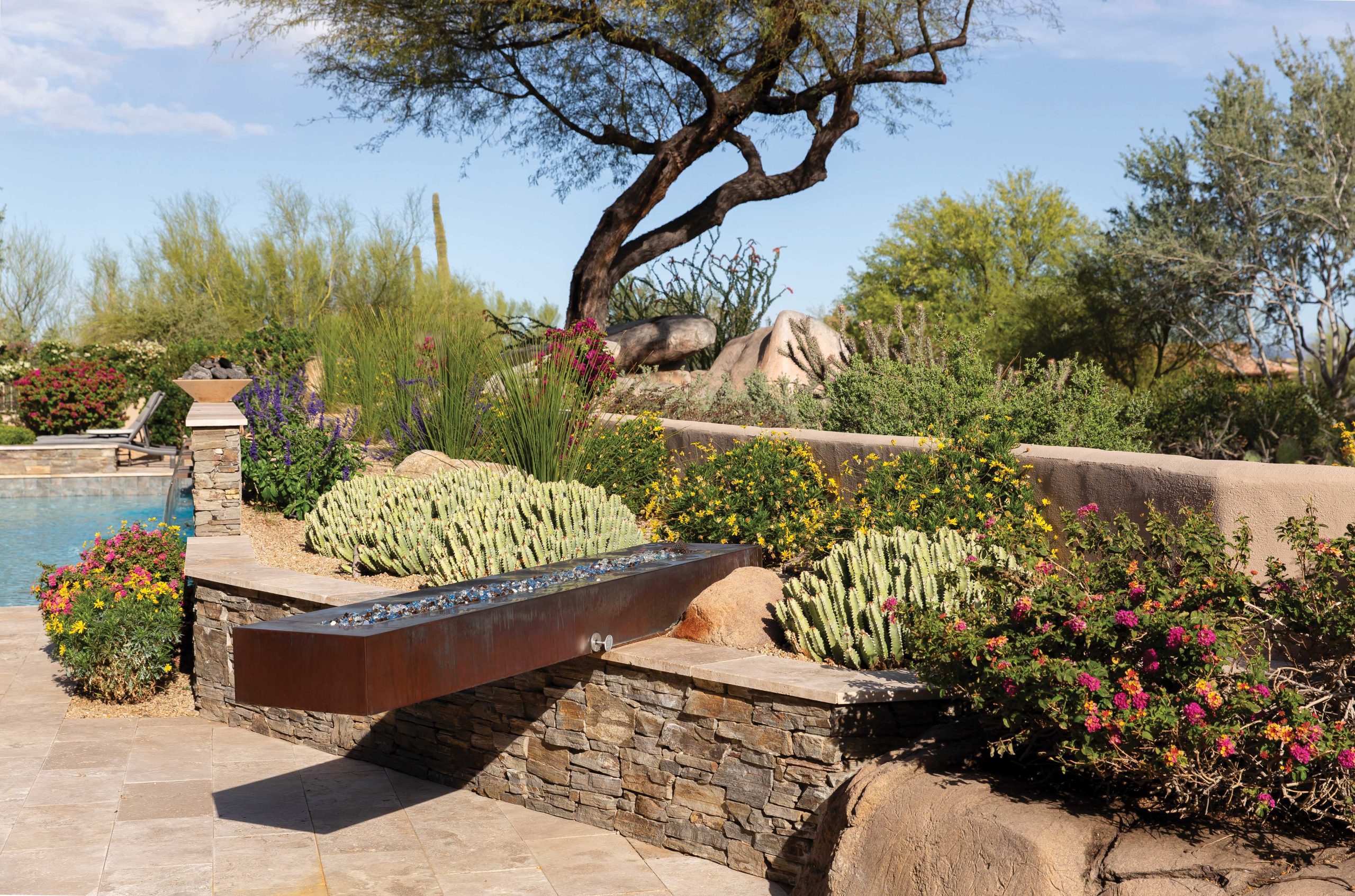 From Craggy Boulders to Bougainvillea: A Desert Garden Full of Life and Color - Phoenix Home & Garden