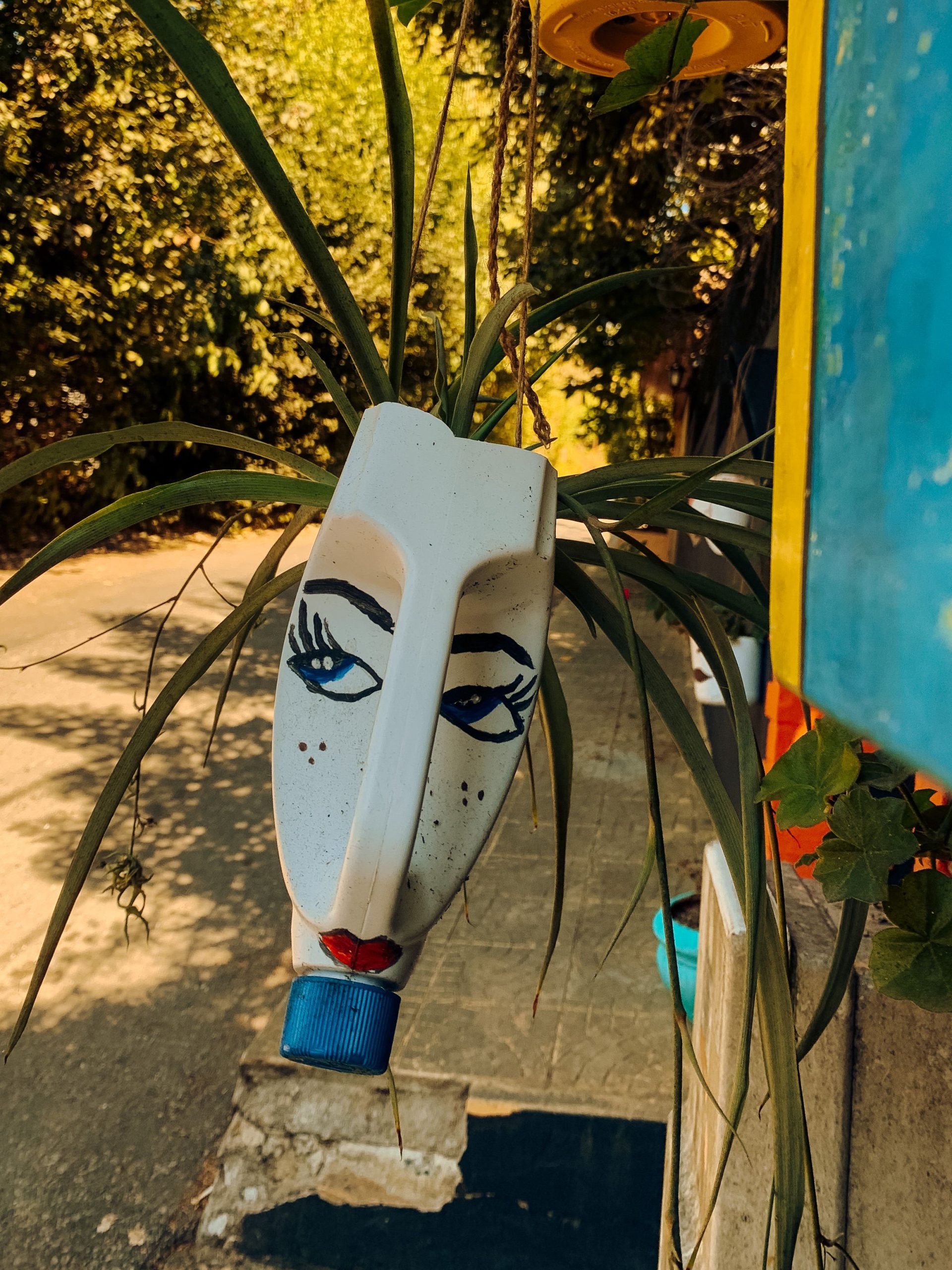 Innovative upcycled plant pot made from a bottle, adding quirky charm to an outdoor summer garden.