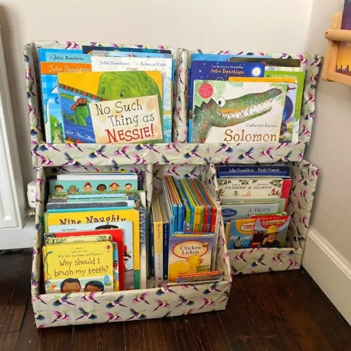 Make Your Own Cardboard Shelves Story - Upcycle My Stuff