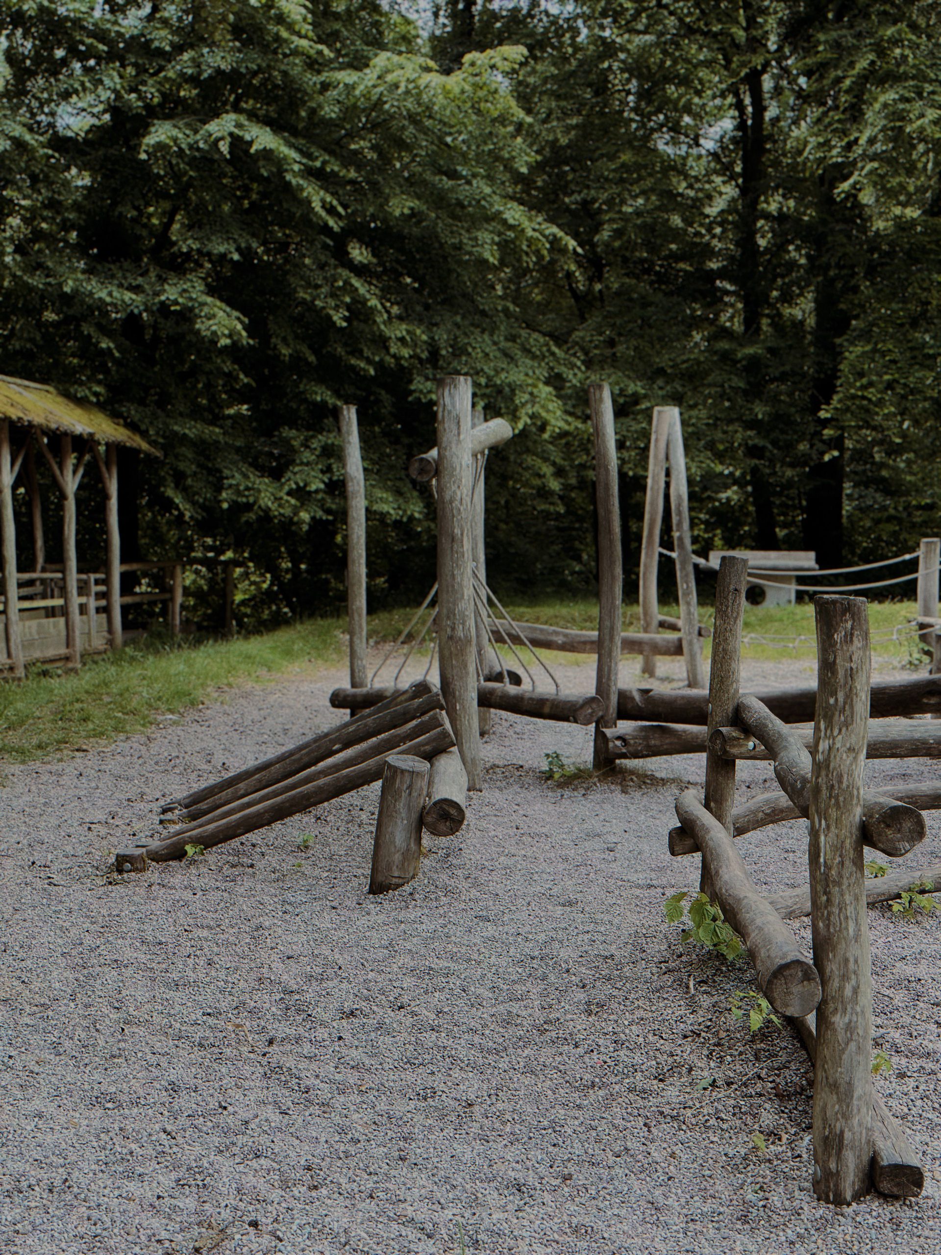 Natural wooden playground surrounded by lush green forest, perfect for kids' adventures.