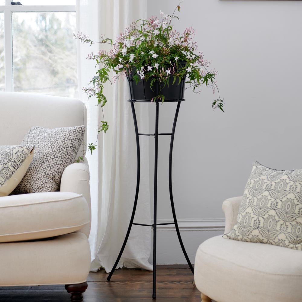 Silhouette Plant Stand | White Flower Farm