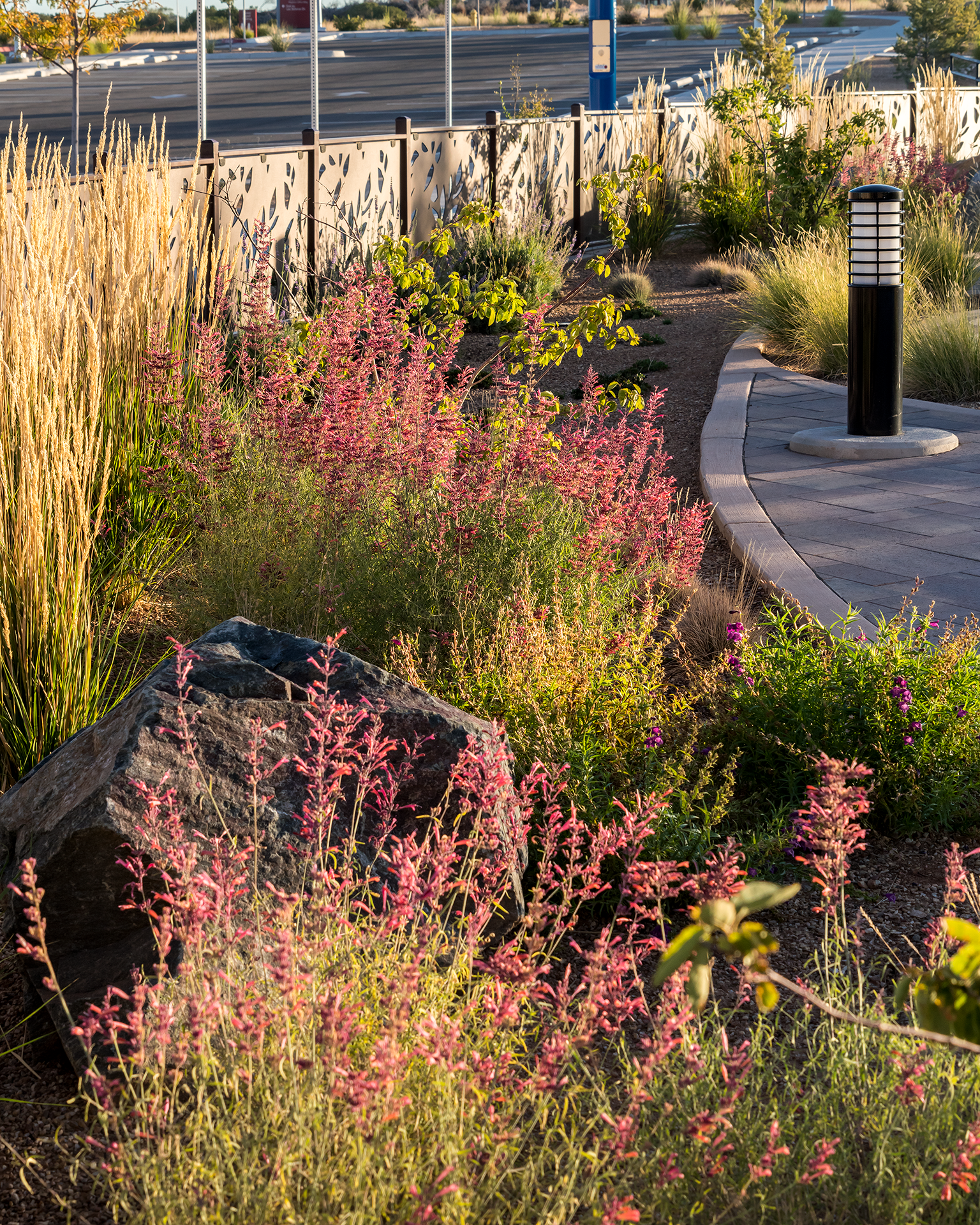 Sustainable Landscape Architecture Firm | Dekker