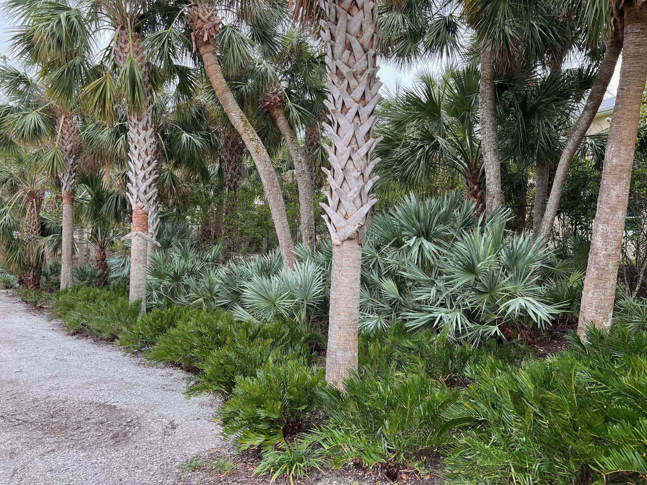 Ten Principles for Sustainable Native Landscaping — Florida Native Plants Nursery & Landscaping
