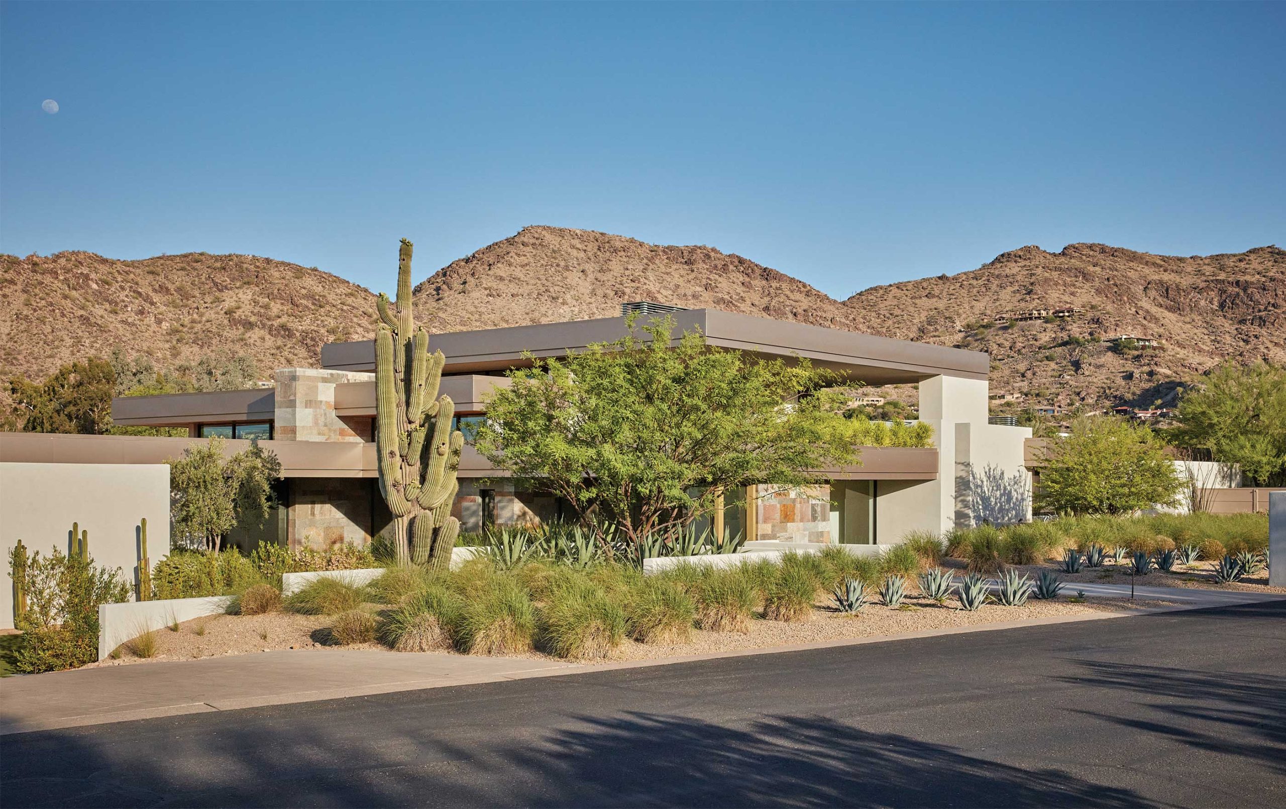 Tour a Paradise Valley Landscape That is Both Soft and Structured - Phoenix Home & Garden