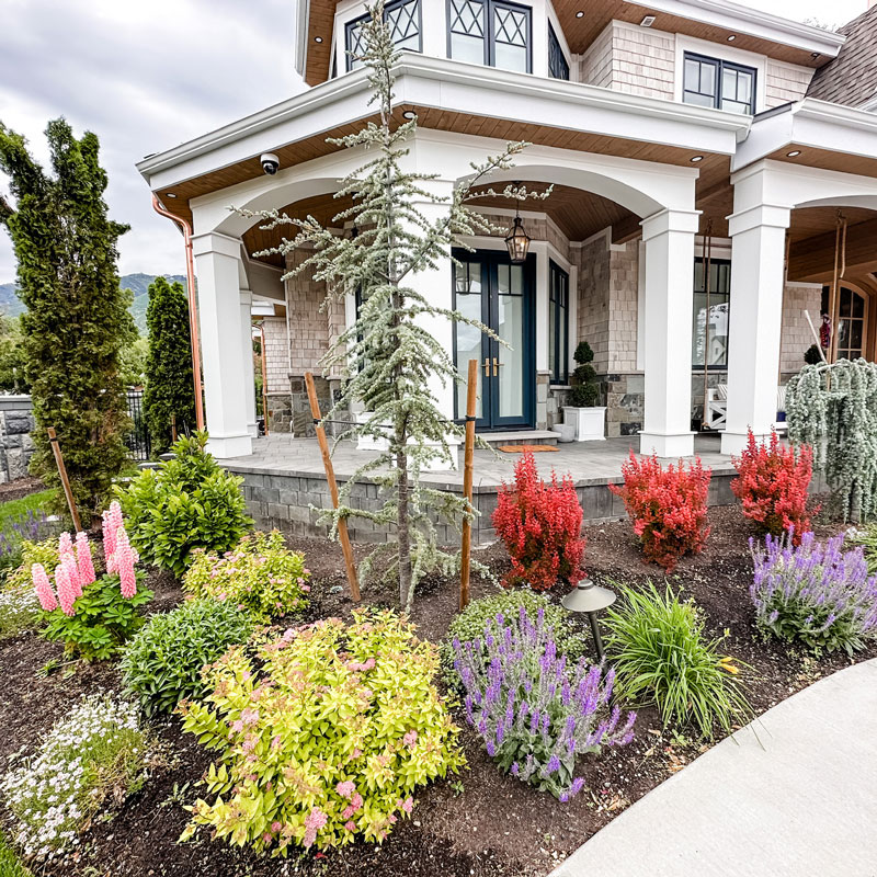Xeriscaping Design & Installation in South Jordan, UT