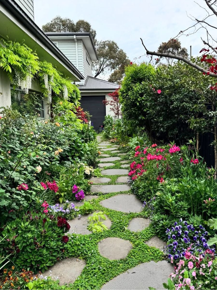 10 Shade Garden Ideas for Low Light Garden Corners