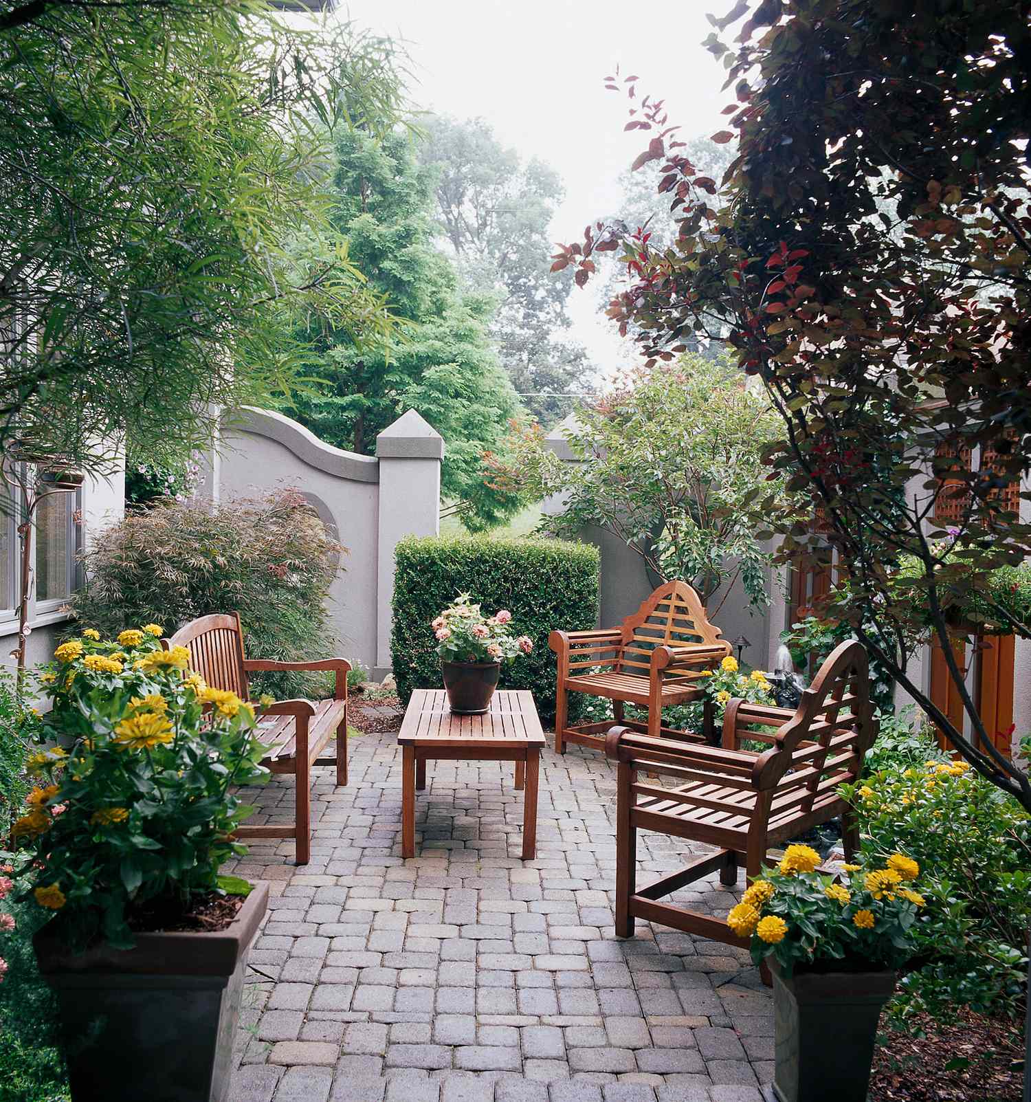 14 Effective Ideas for Creating Privacy in Your Landscape