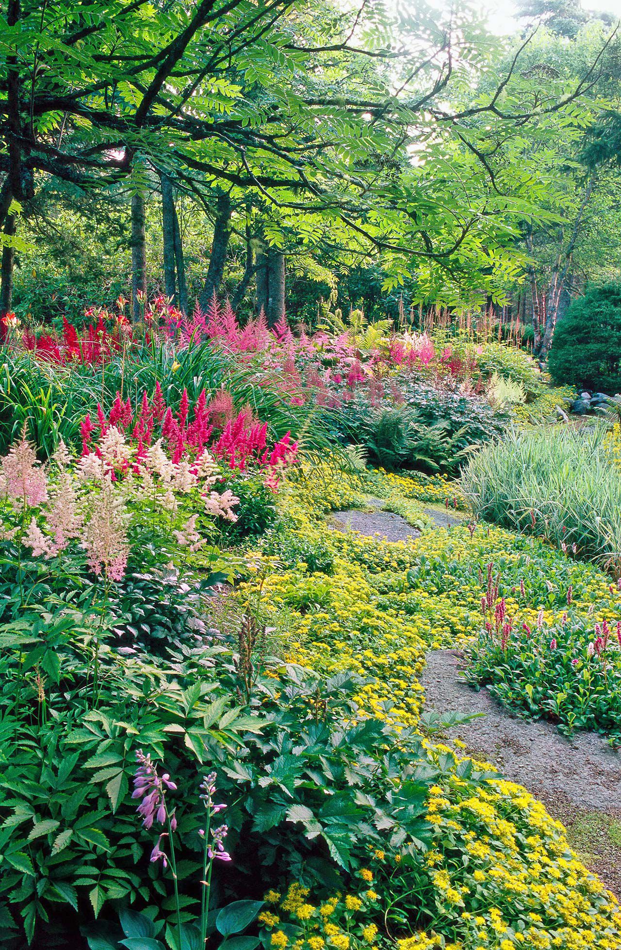 20 Shady Garden Corner Ideas for a Vibrant Shade Garden