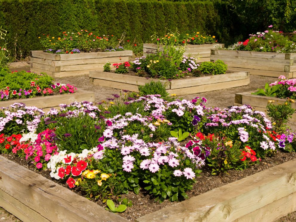 24 Affordable Backyard Landscaping Ideas on a Budget