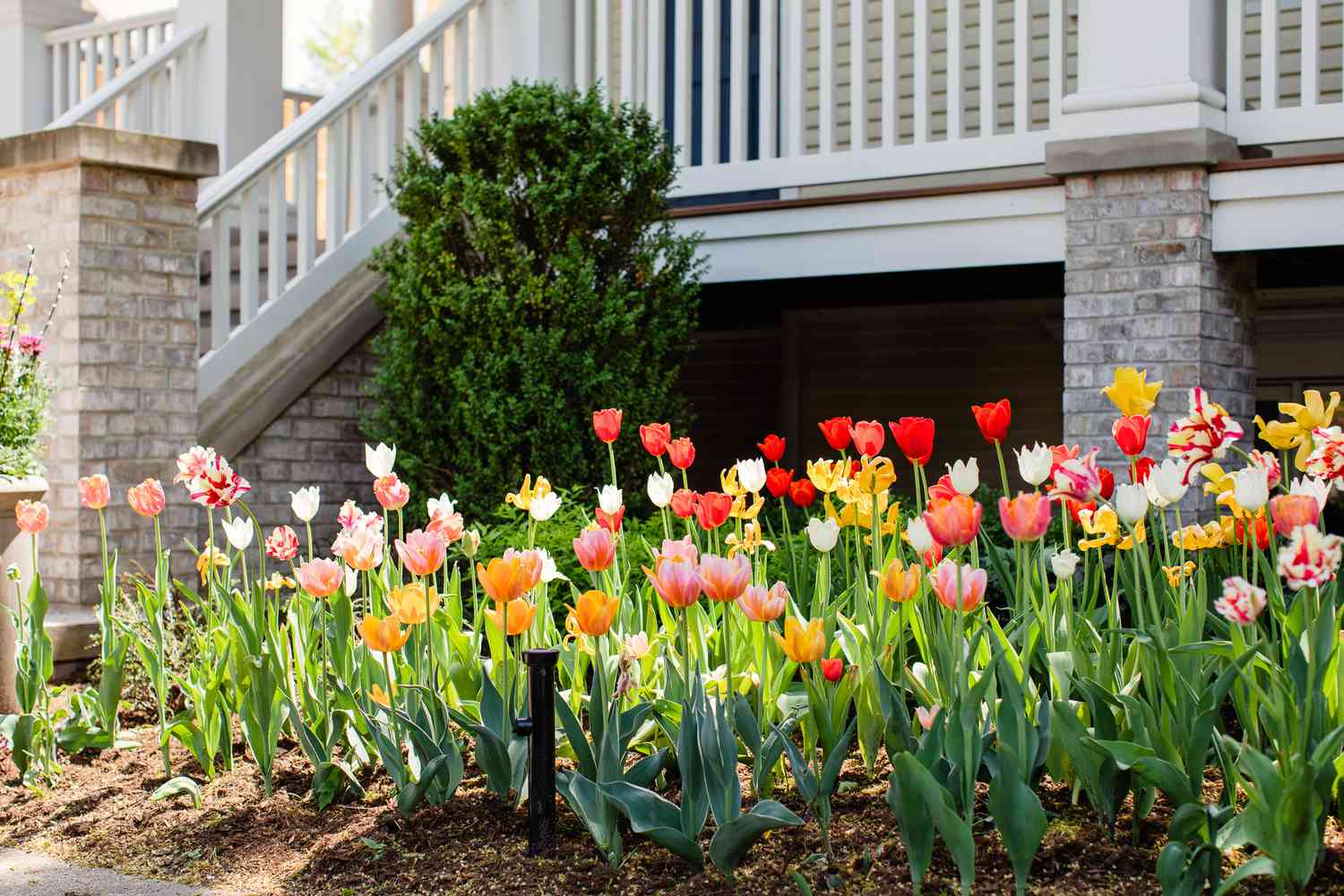 24 Landscaping Ideas That Turn Basic Front Yards Into Polished Spaces With Instant Curb Appeal